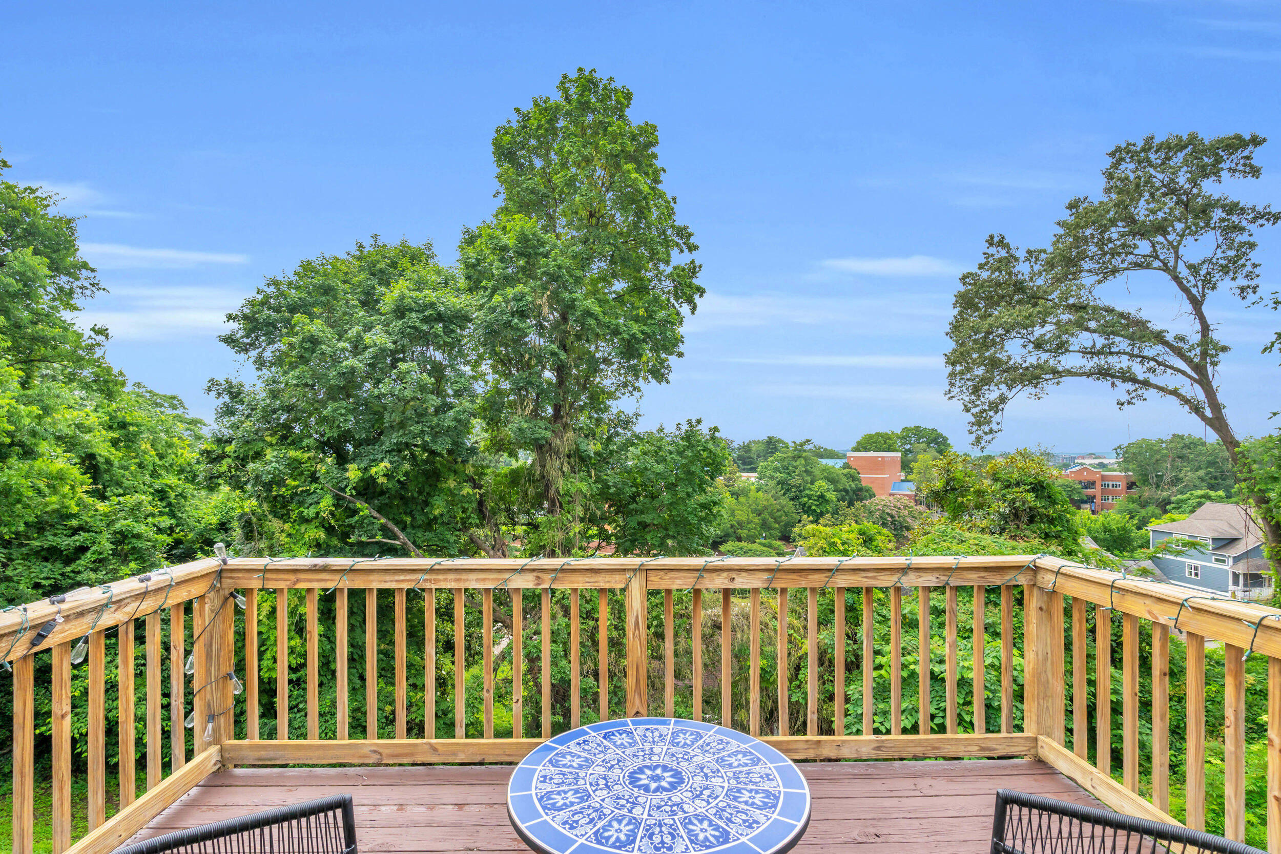 232 Jarnigan Avenue, Chattanooga, Tennessee image 22