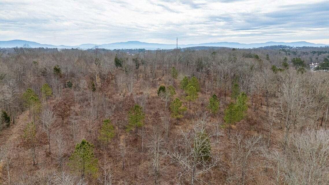 Waterlevel Highway, Cleveland, Tennessee image 29