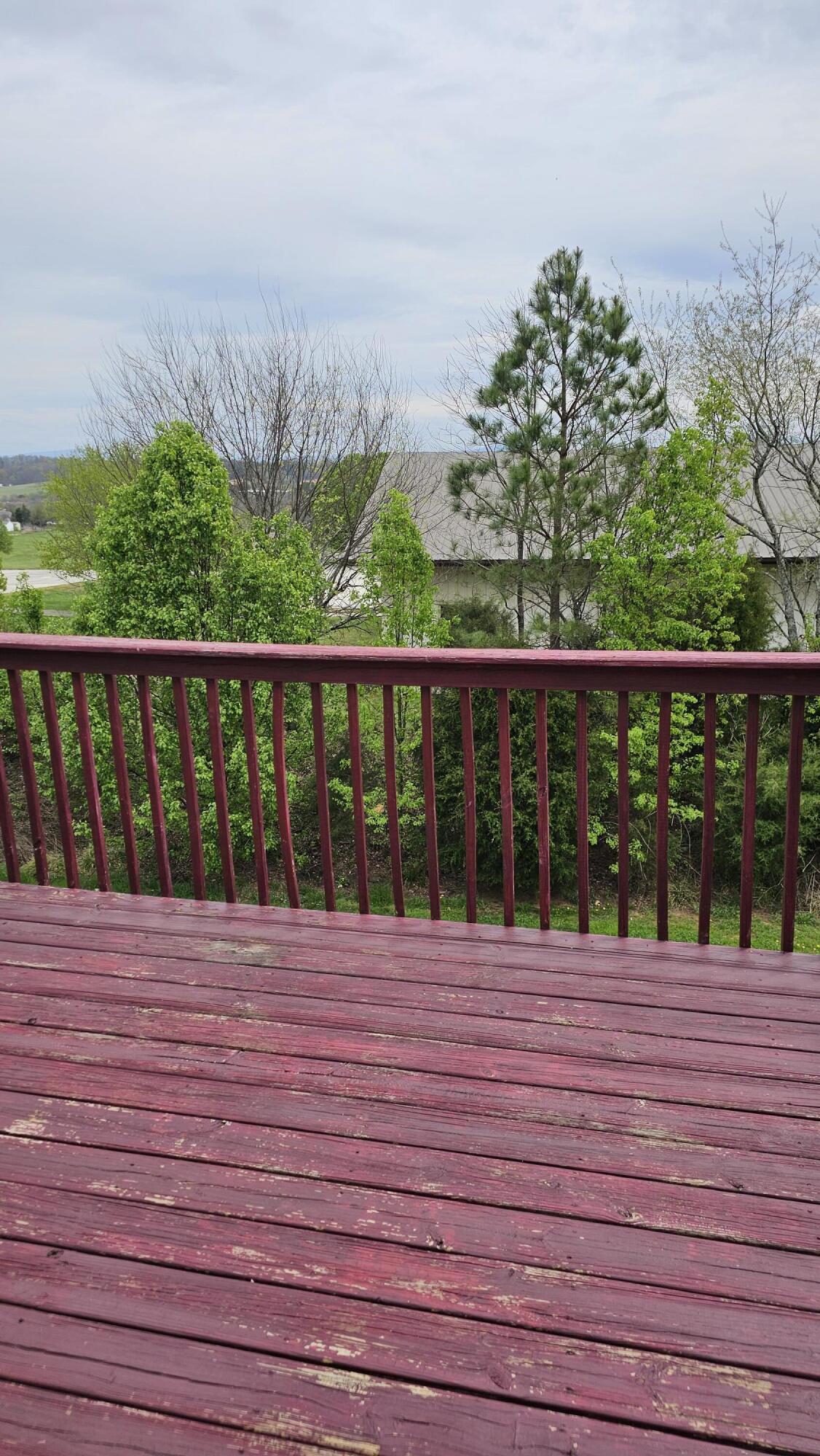 124 Lone Tree Drive, Cleveland, Tennessee image 11
