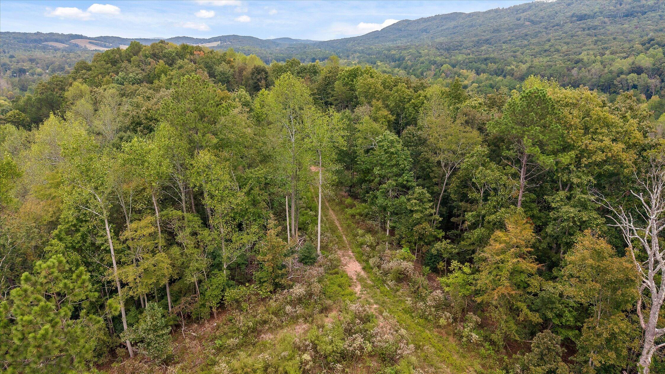 Tract 11 Beavers Road