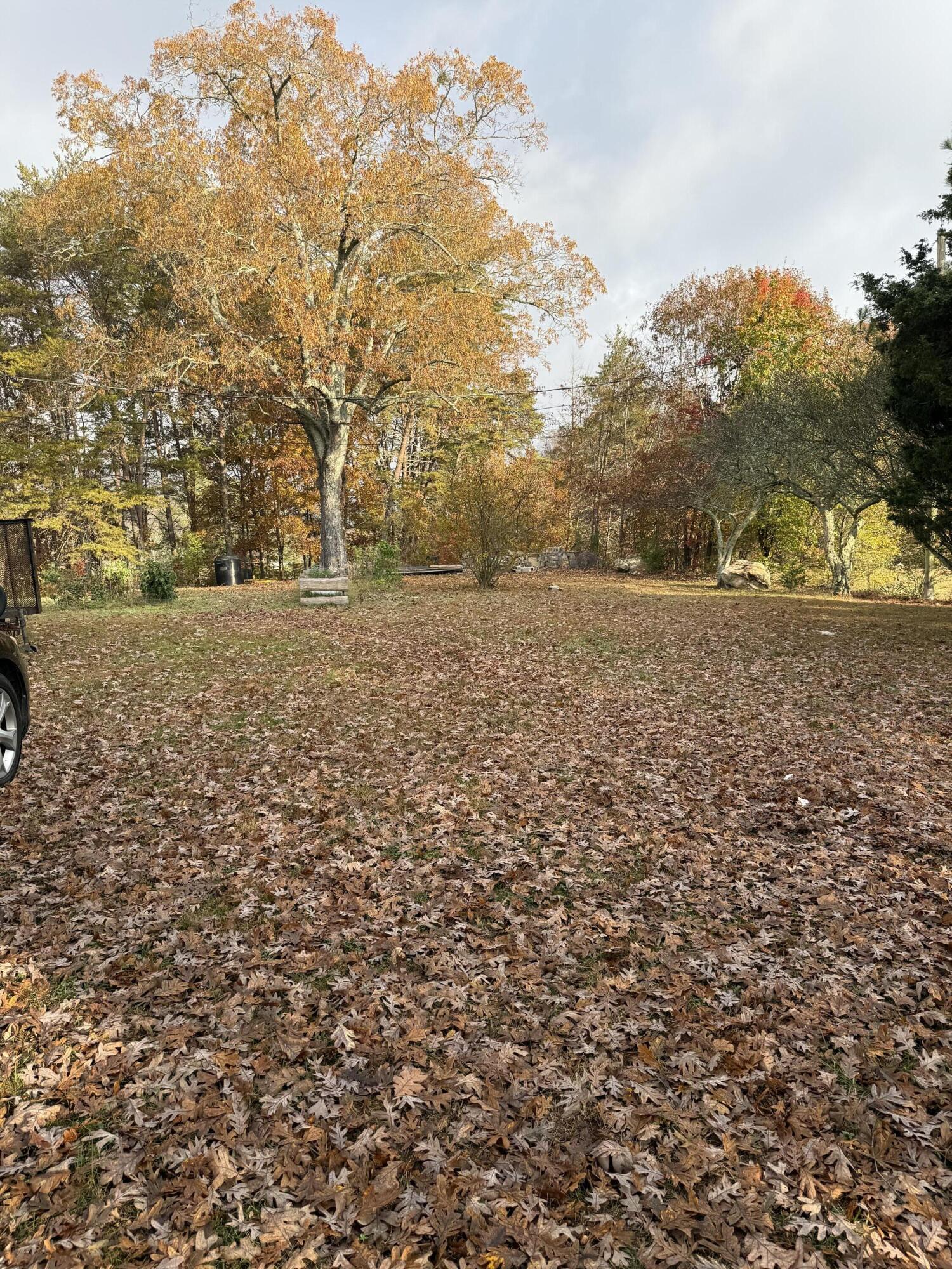 2558 S Dick Creek Road