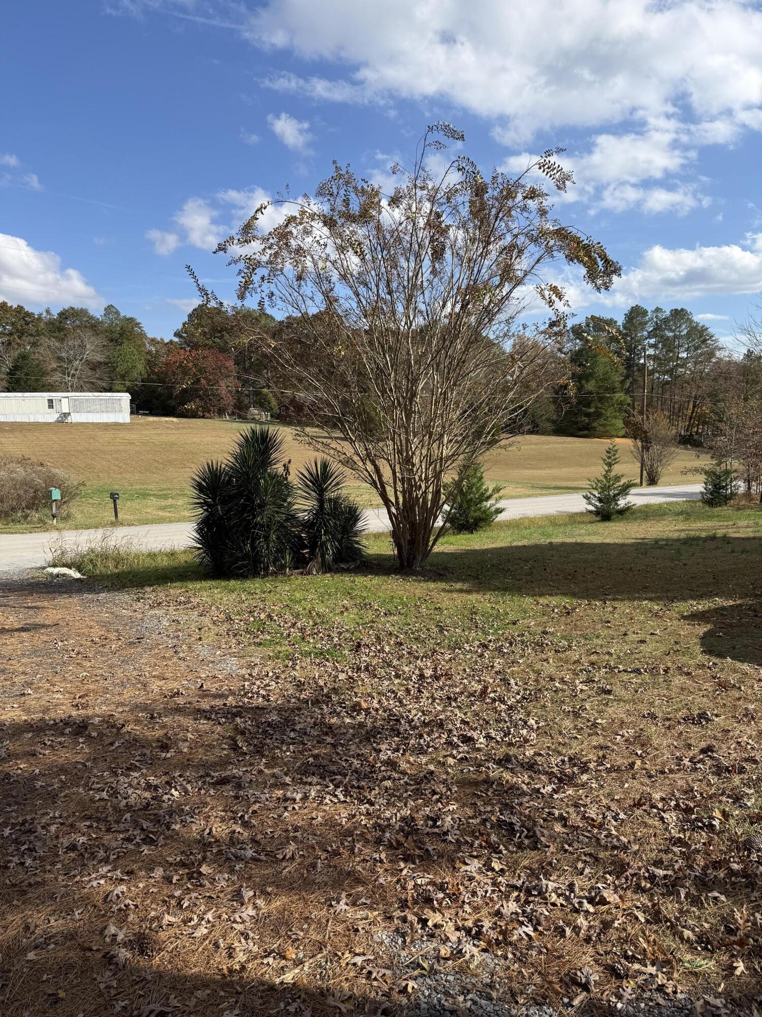 2558 S Dick Creek Road