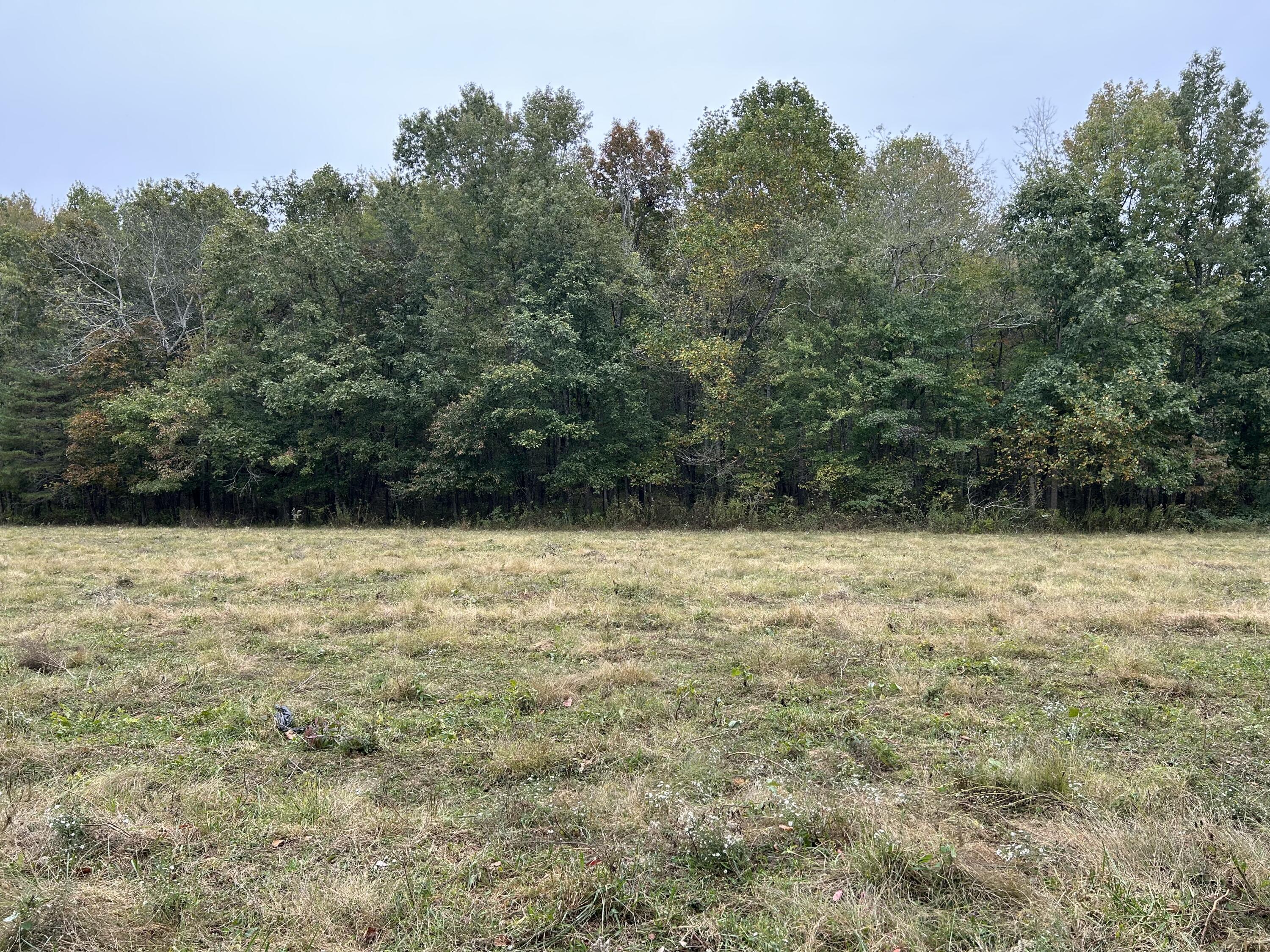 5393 Summer City Road #TRACT 1, Evensville, Tennessee image 11