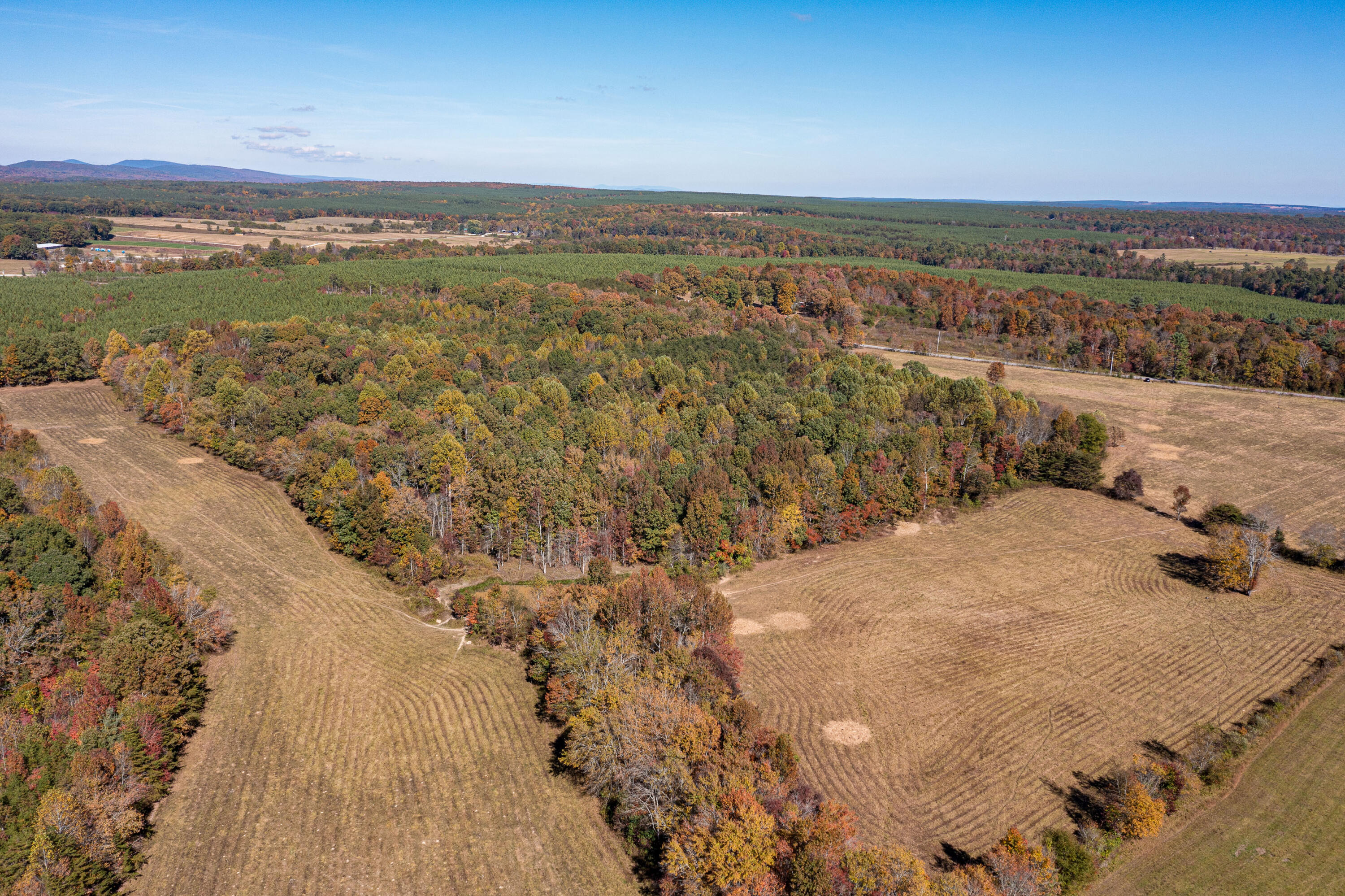 5393 Summer City Road #TRACT 1, Evensville, Tennessee image 6