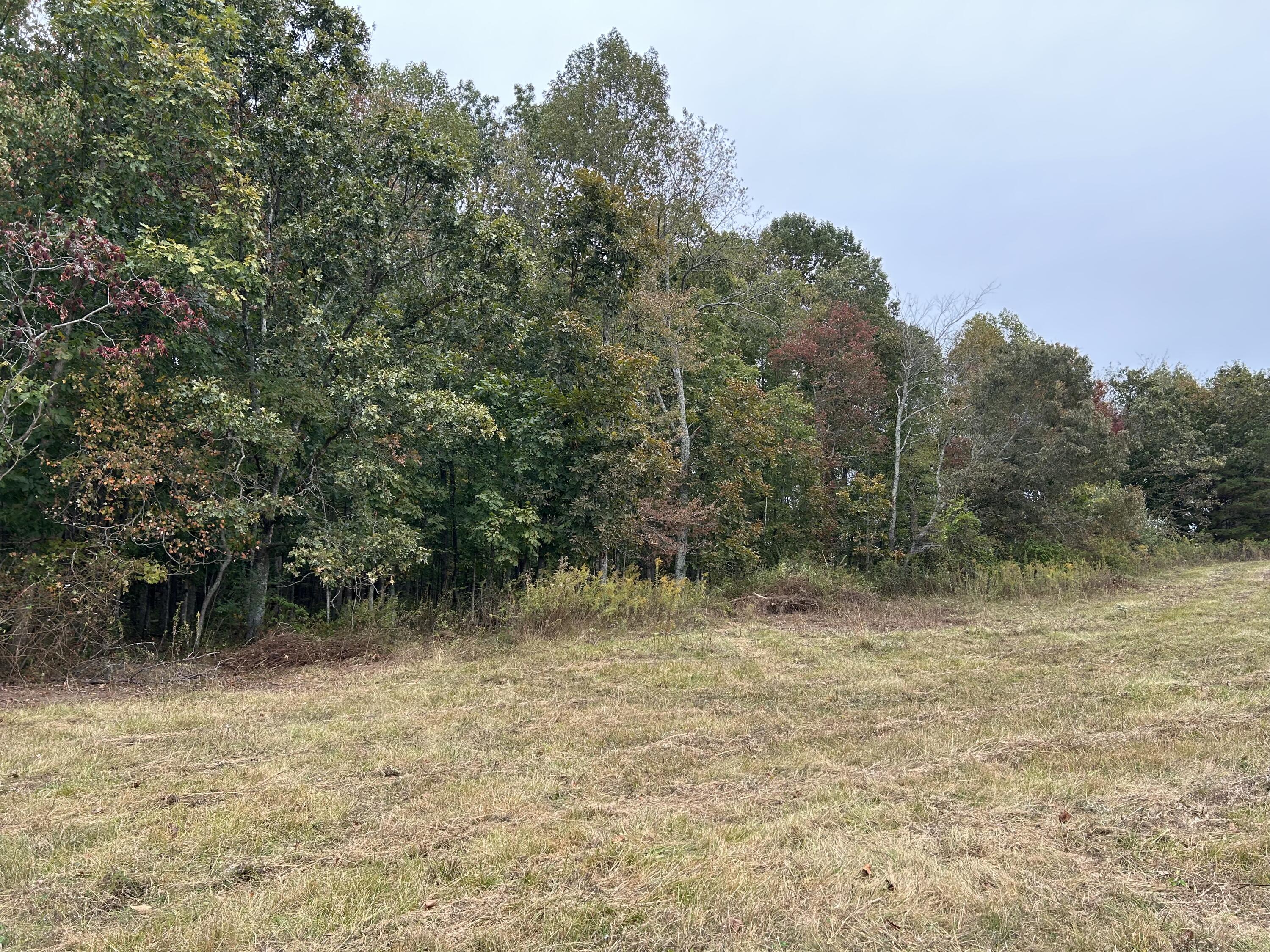 5393 Summer City Road #TRACT 1, Evensville, Tennessee image 13