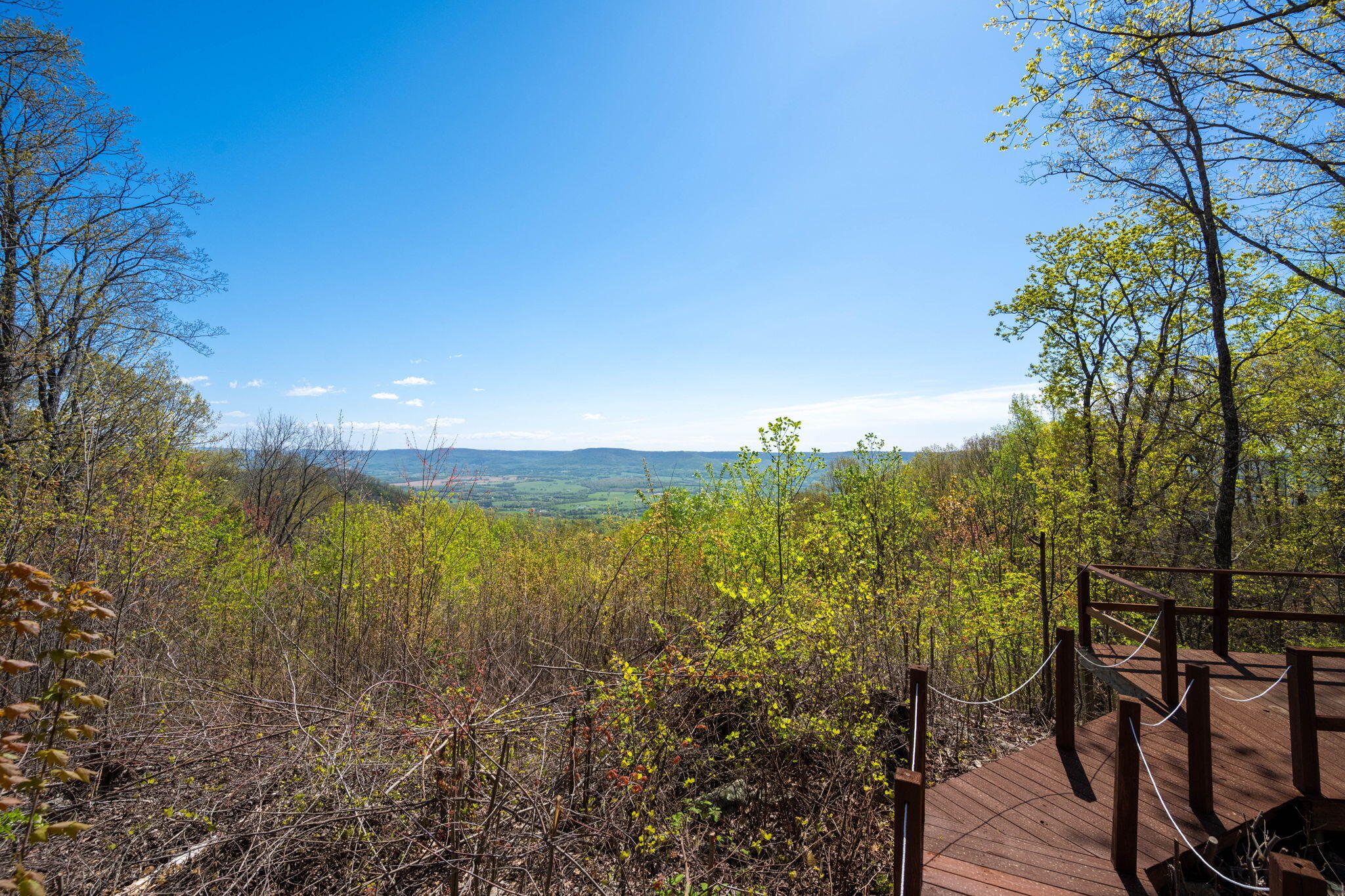 264 Harlee Vista Road, Pikeville, Tennessee image 34