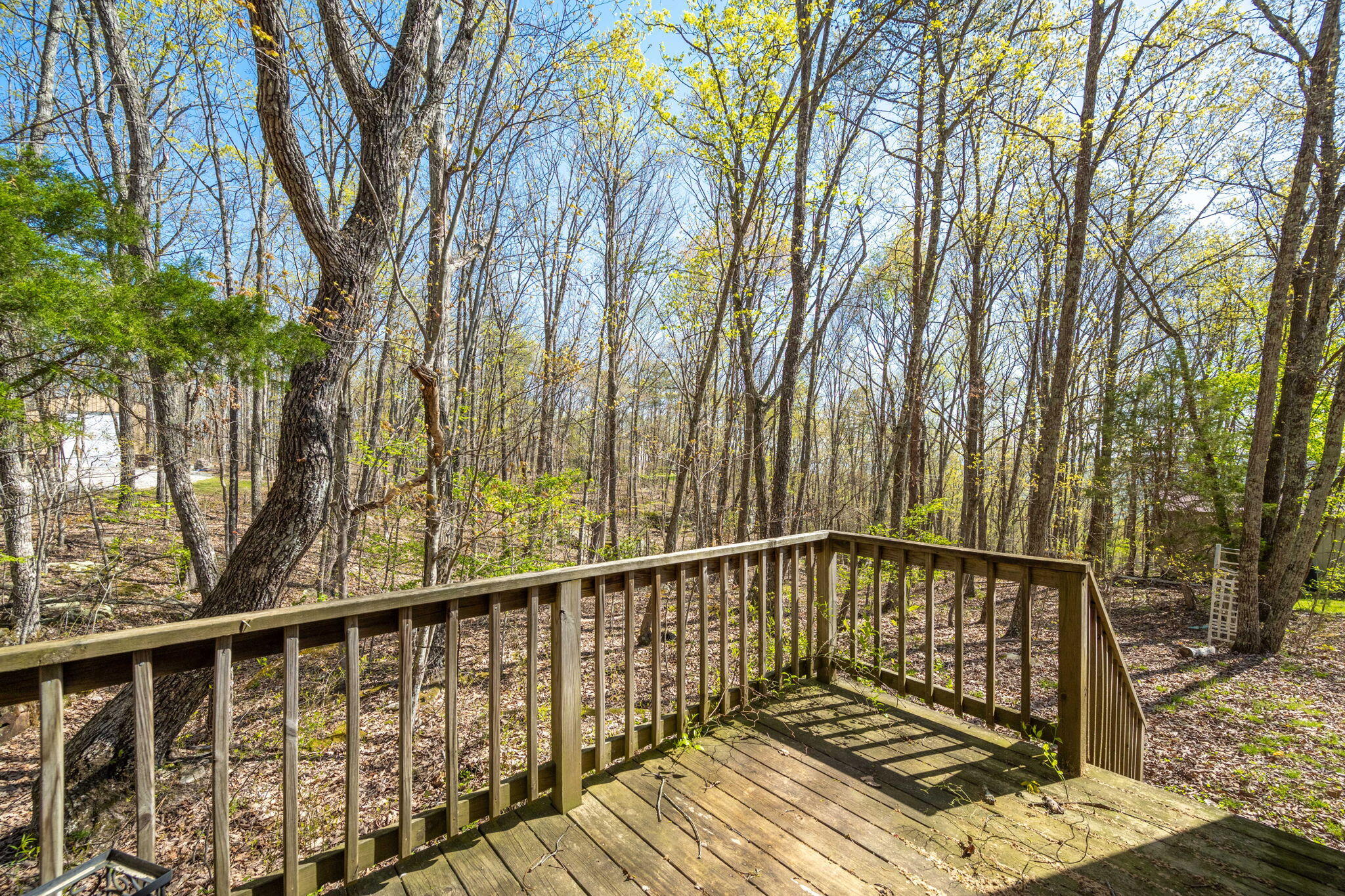 264 Harlee Vista Road, Pikeville, Tennessee image 32