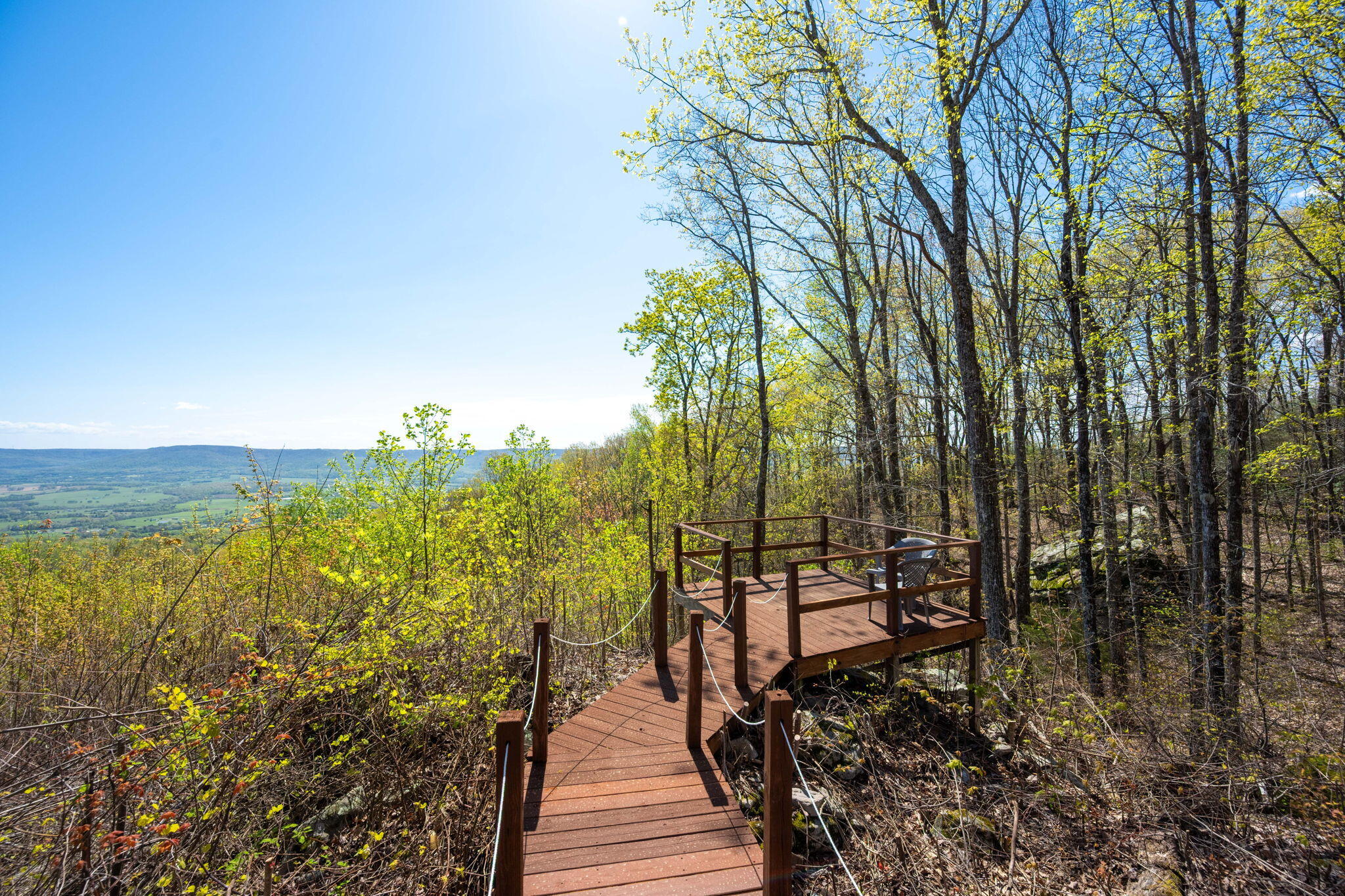 264 Harlee Vista Road, Pikeville, Tennessee image 35
