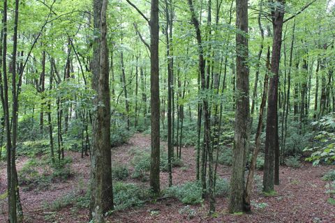 Photo of 371 Lark Drive, Dunlap, TN 37327 (MLS # 1521798)