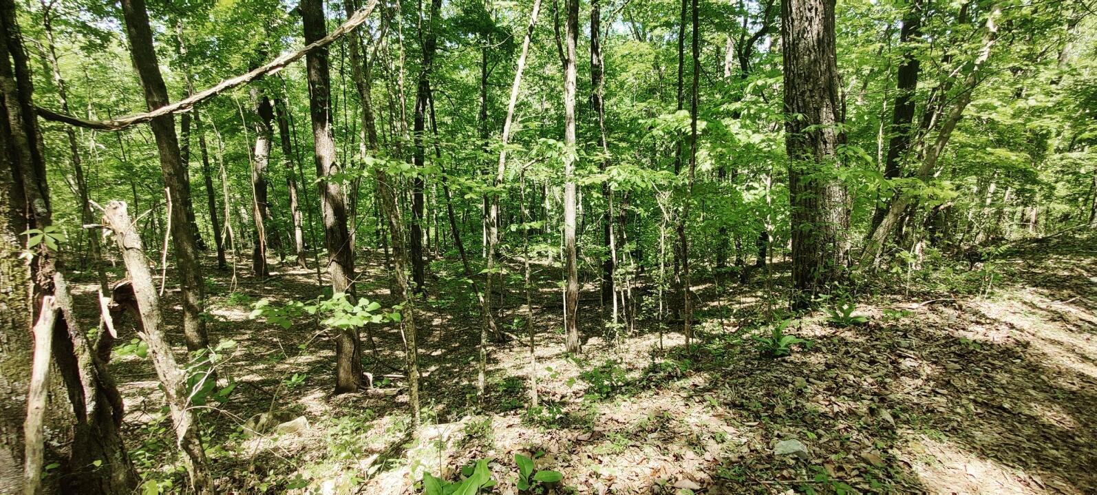 Coburntown (lot 13) Road, South Pittsburg, Tennessee image 12