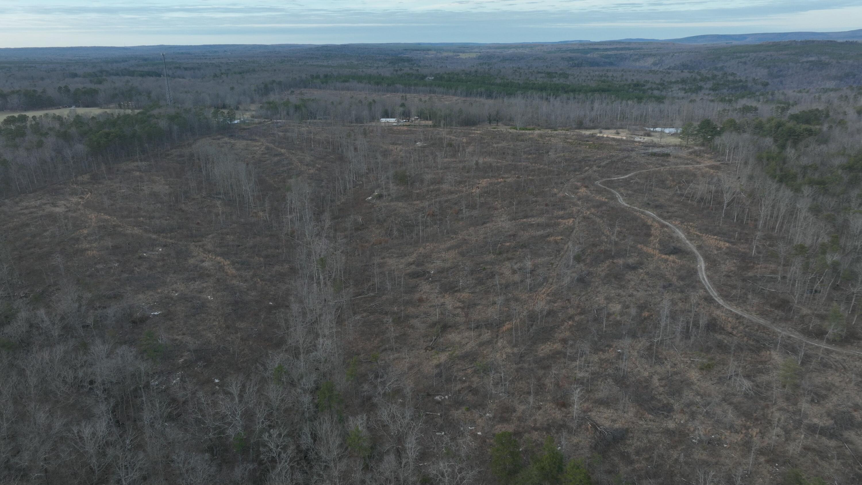 2 Lickpoint Road, Sequatchie, Tennessee image 8