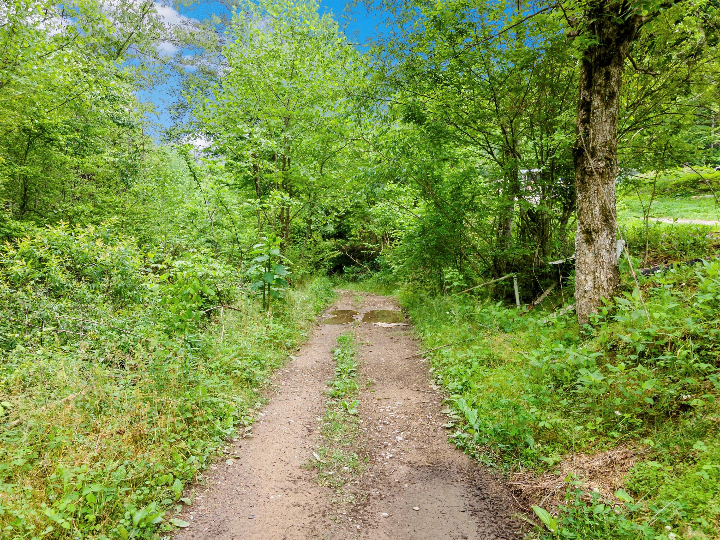 Egypt Hollow Road, Trenton, Georgia image 3