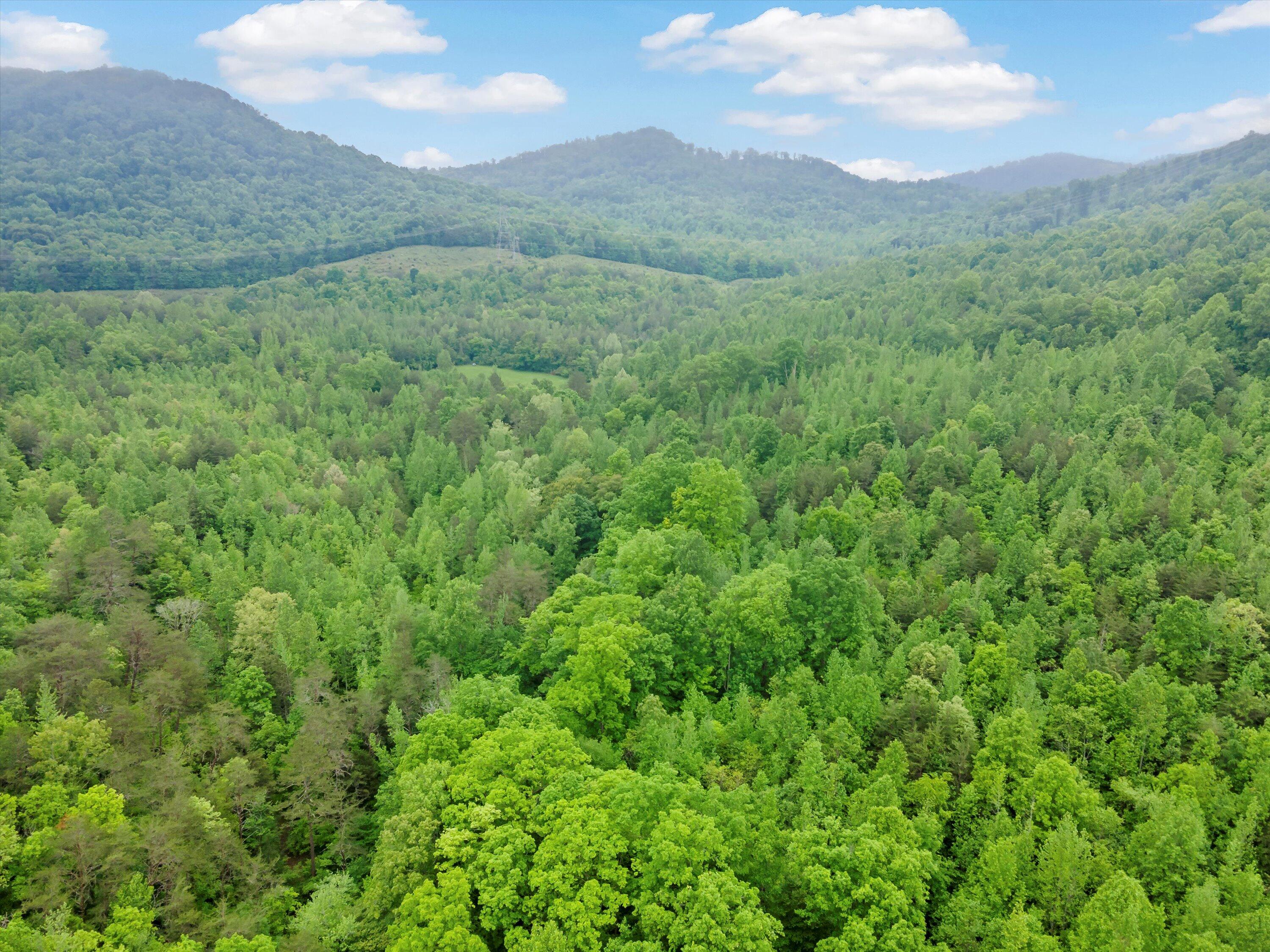 Egypt Hollow Road, Trenton, Georgia image 15