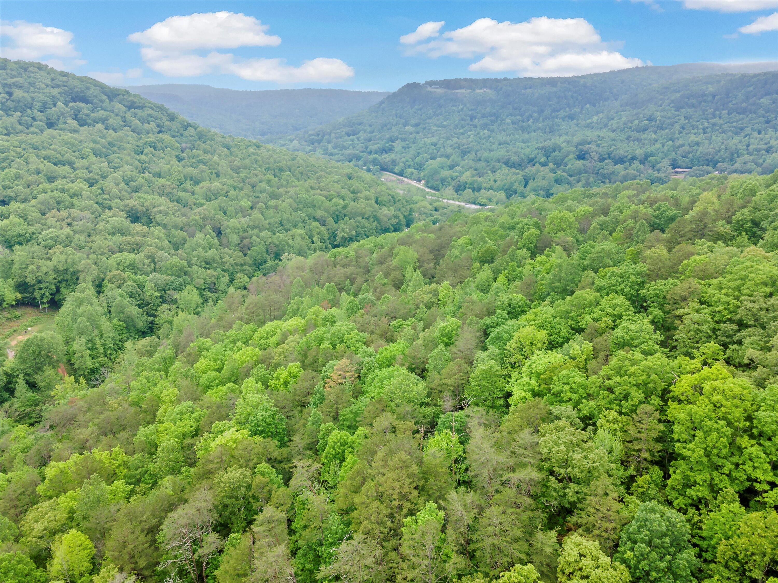 Egypt Hollow Road, Trenton, Georgia image 13