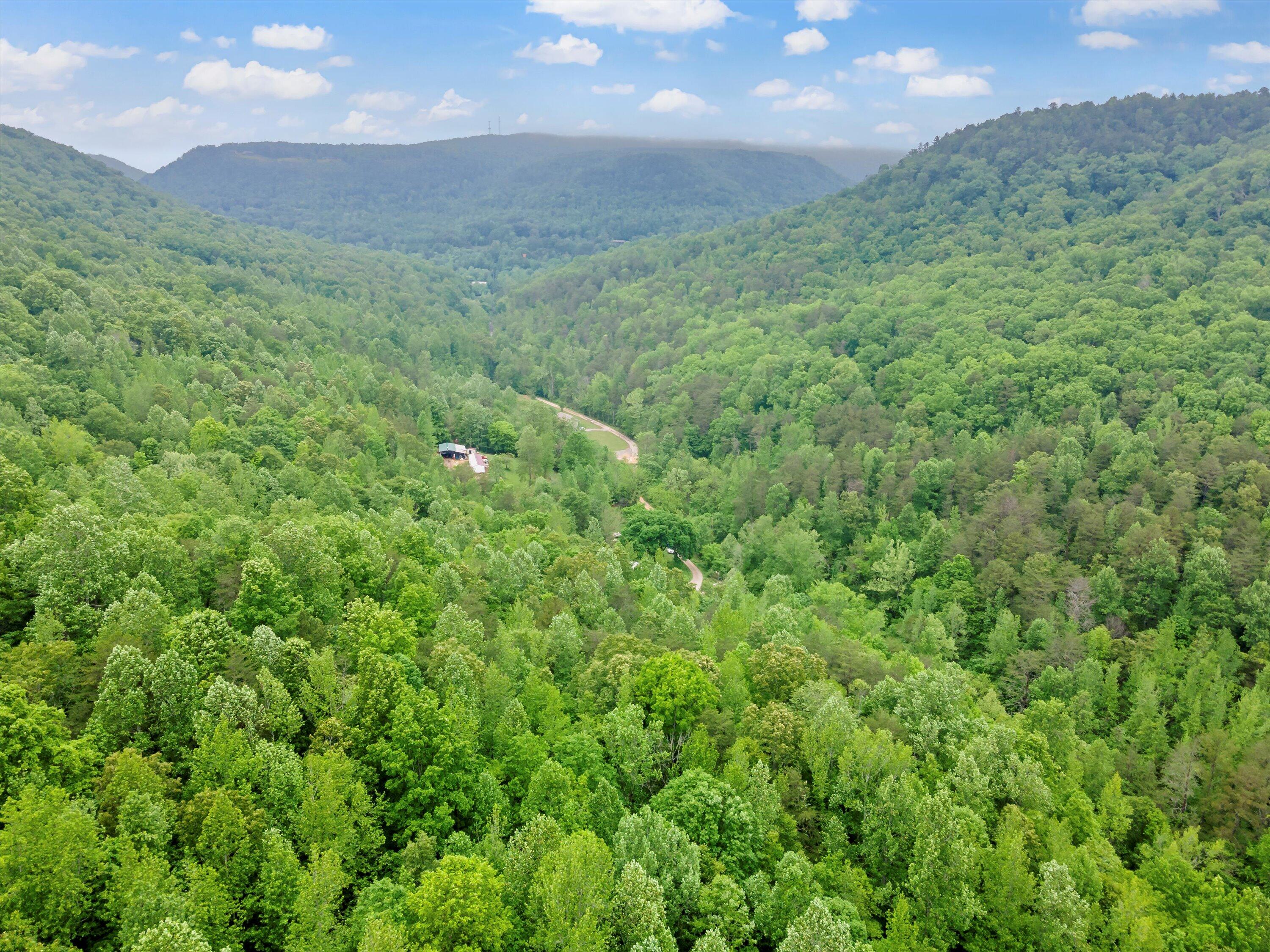 Egypt Hollow Road, Trenton, Georgia image 14