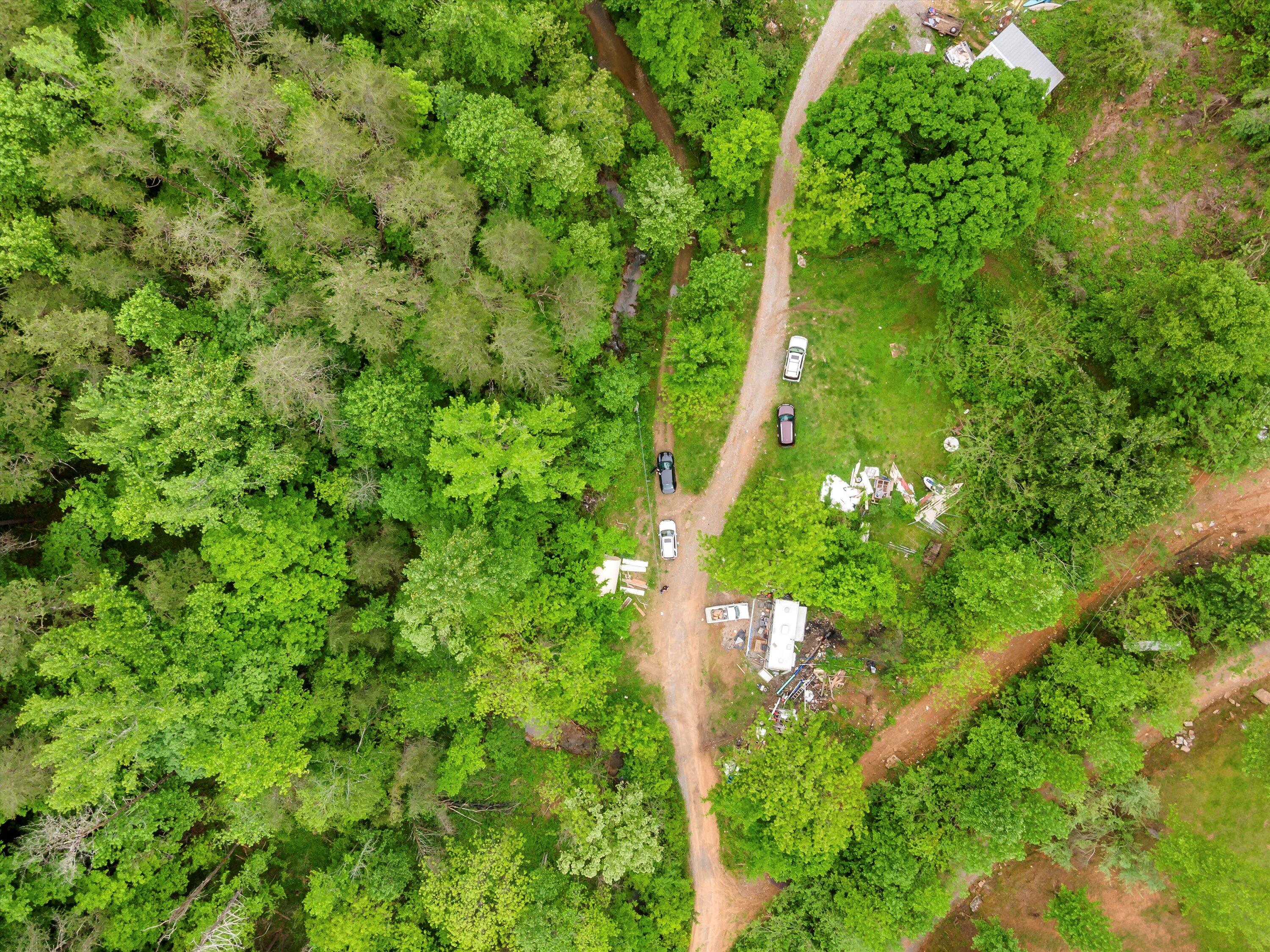 Egypt Hollow Road, Trenton, Georgia image 4