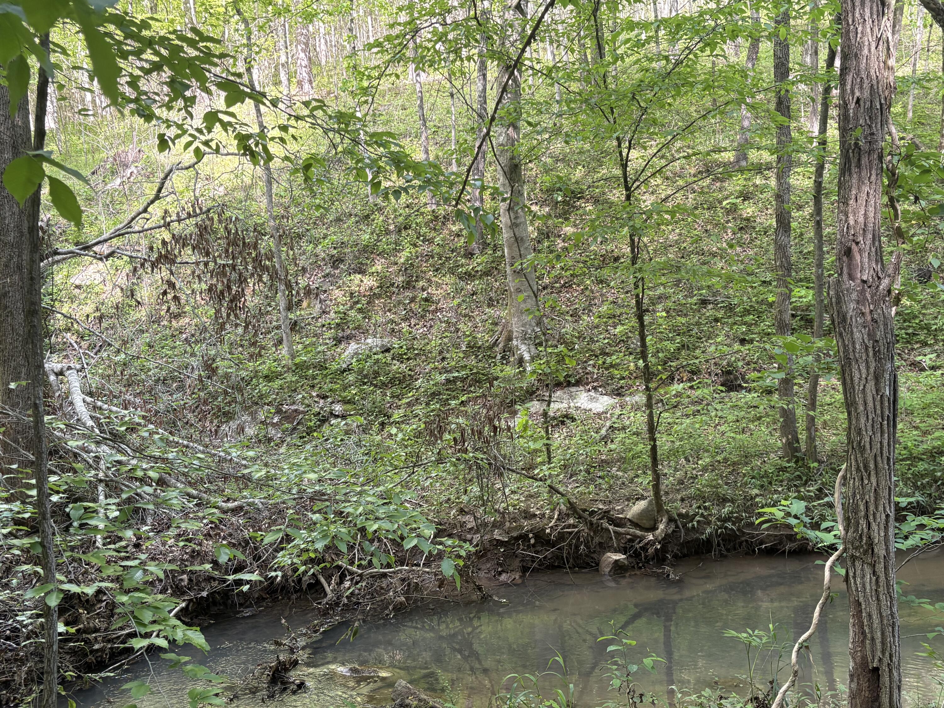 Egypt Hollow Road, Trenton, Georgia image 6