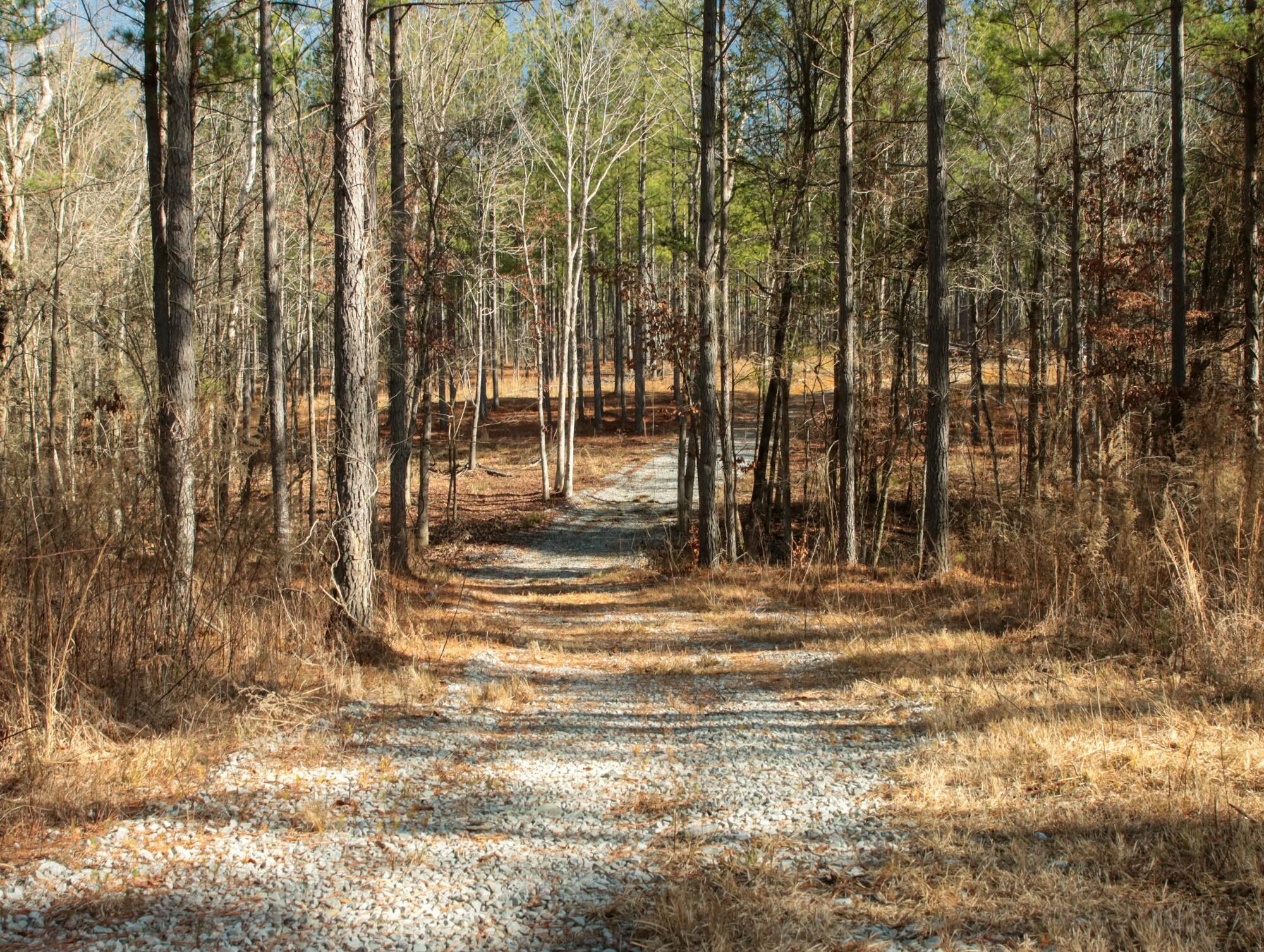 2618 Charles Road, Decatur, Tennessee image 11