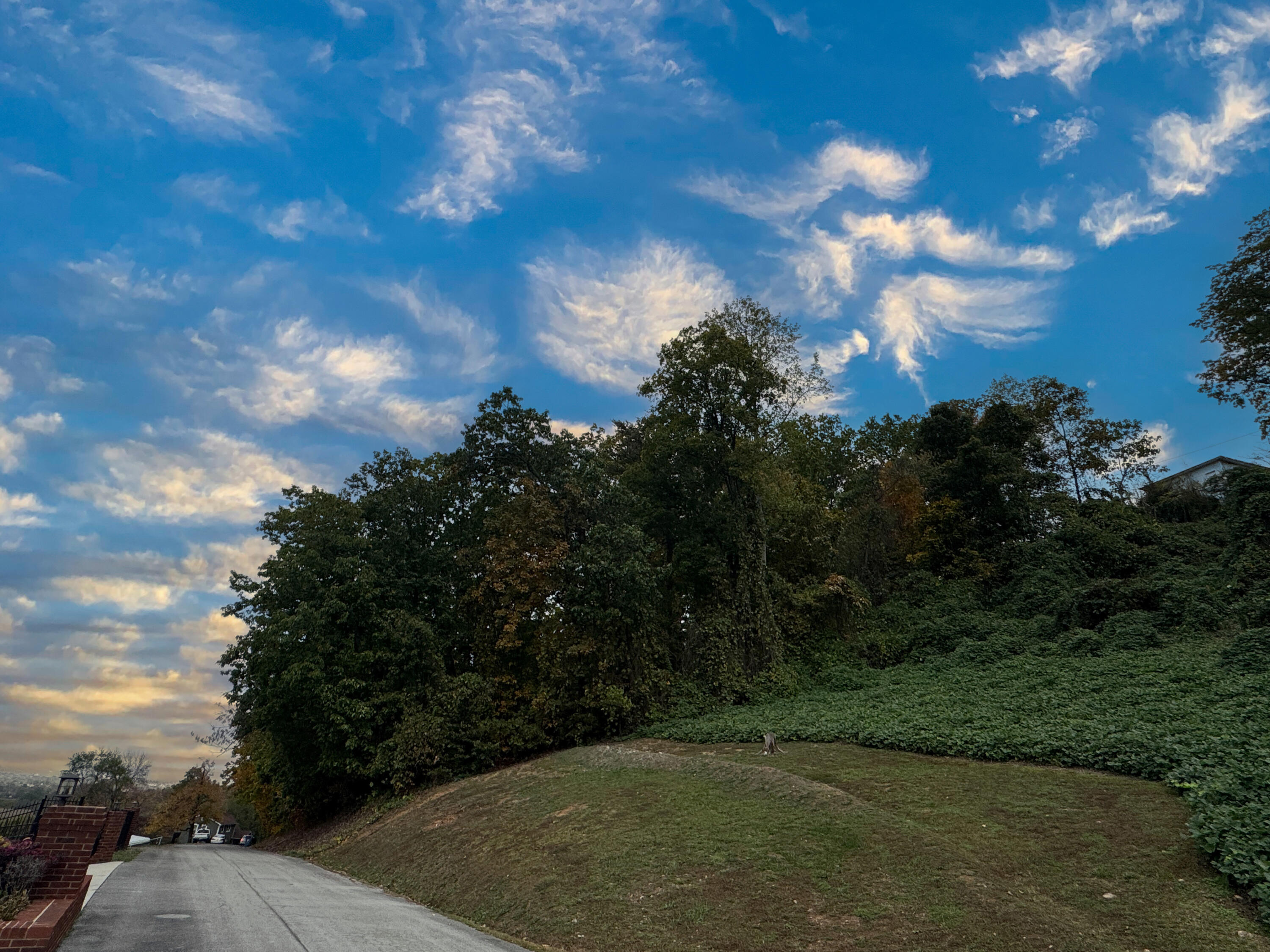 Clift Trail #LOT 29, Rossville, Georgia image 2