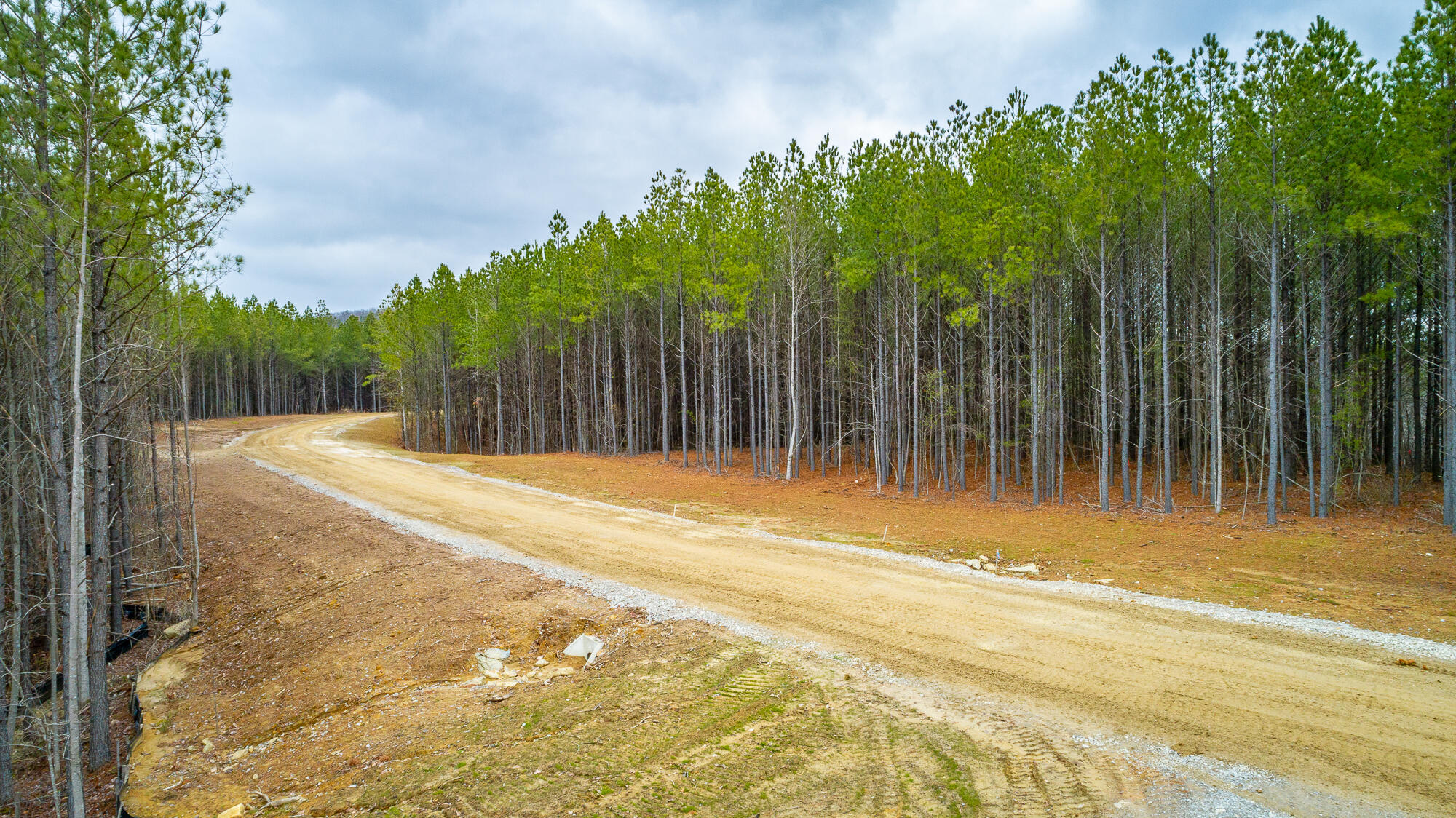 Split Rail Way #LOT 1354, Guild, Tennessee image 26