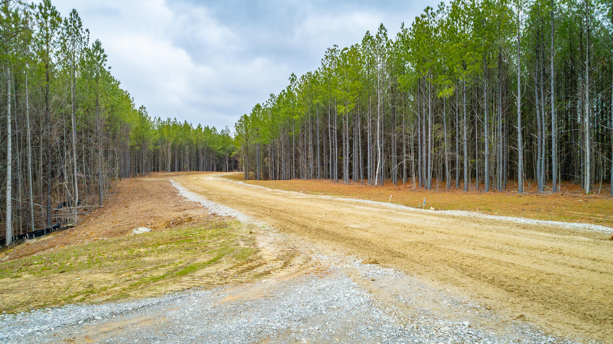 Split Rail Way #LOT 1354, Guild, Tennessee image 24