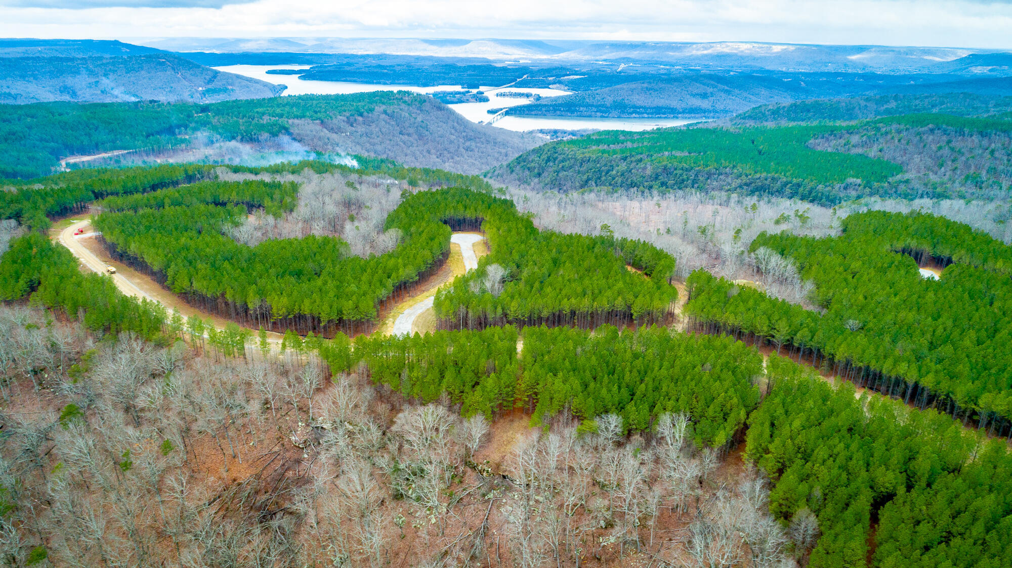 Split Rail Way #LOT 1354, Guild, Tennessee image 44