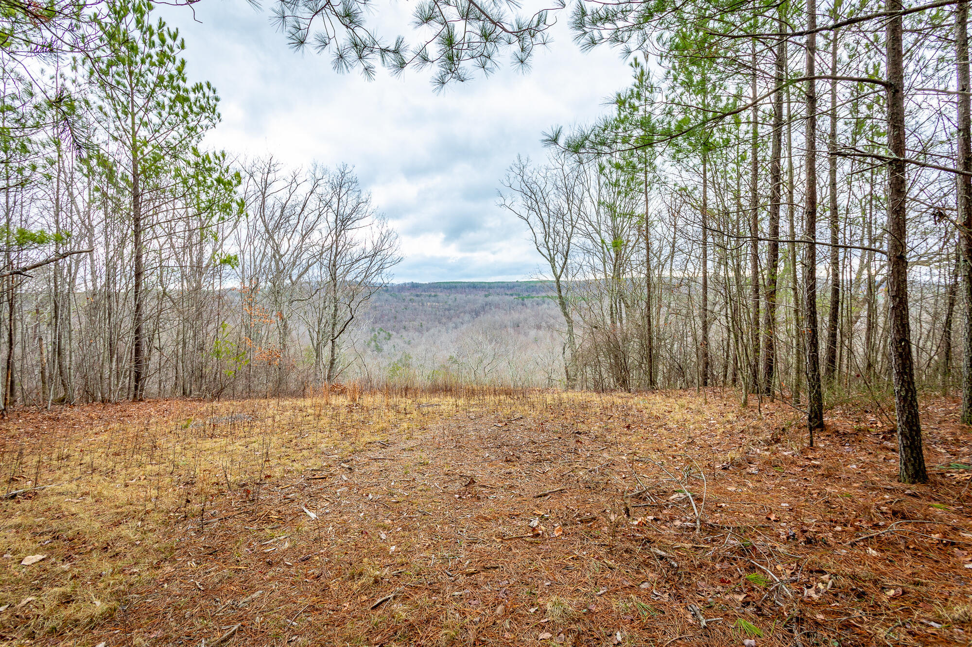 Split Rail Way #LOT 1354, Guild, Tennessee image 1
