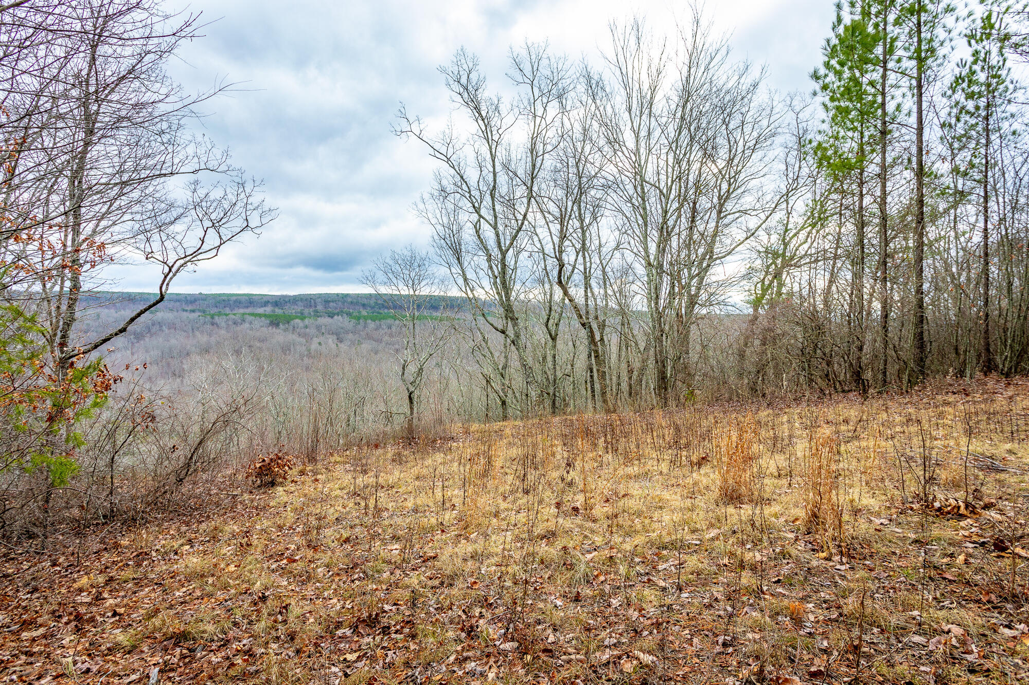 Split Rail Way #LOT 1354, Guild, Tennessee image 8