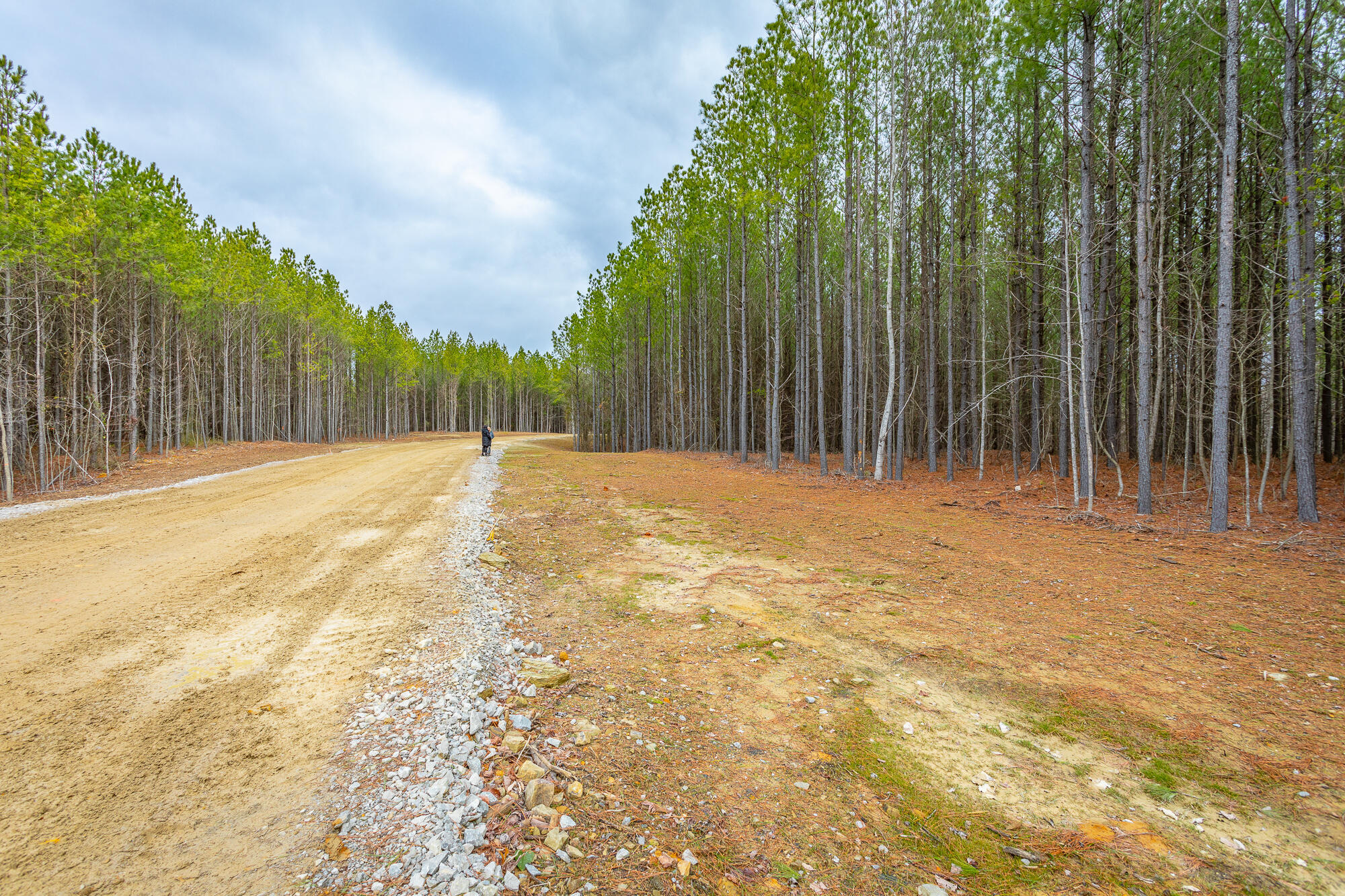 Split Rail Way #LOT 1354, Guild, Tennessee image 22