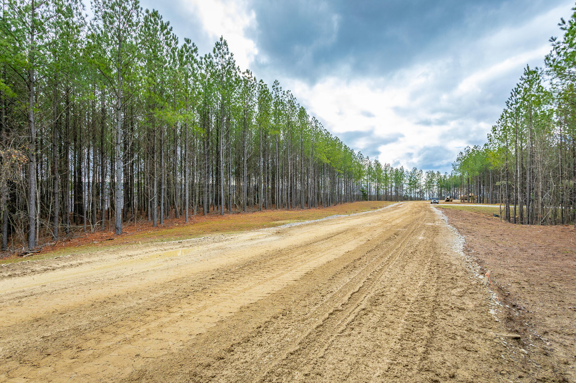 Split Rail Way #LOT 1354, Guild, Tennessee image 19
