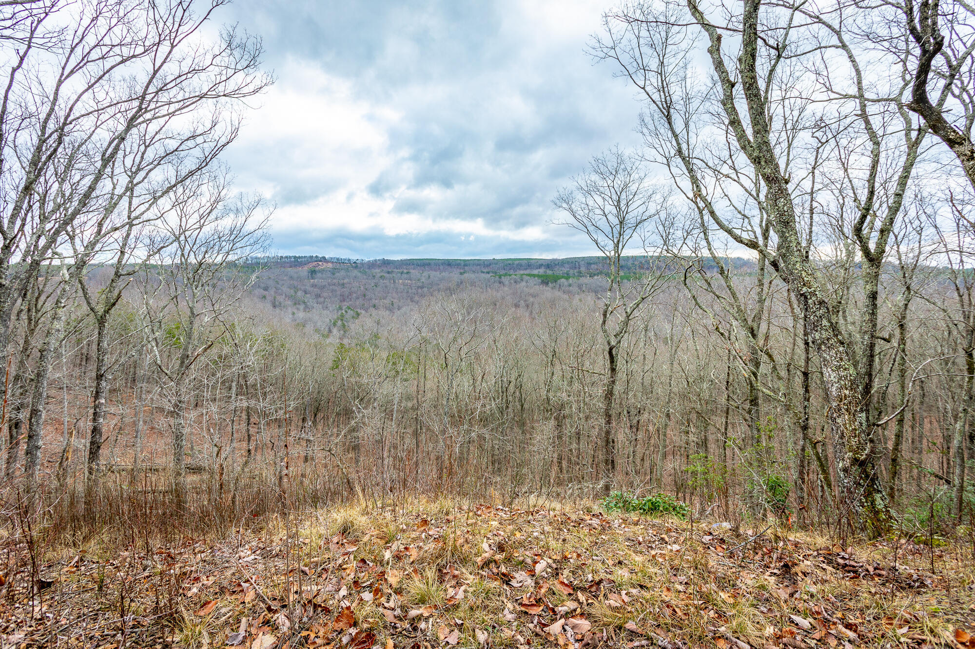 Split Rail Way #LOT 1354, Guild, Tennessee image 7