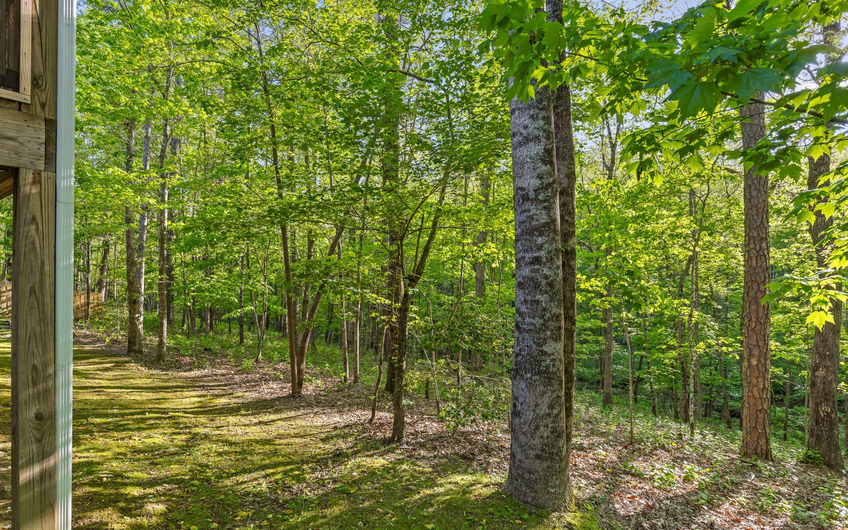 2385 Clear Brooks Drive, Signal Mountain, Tennessee image 31