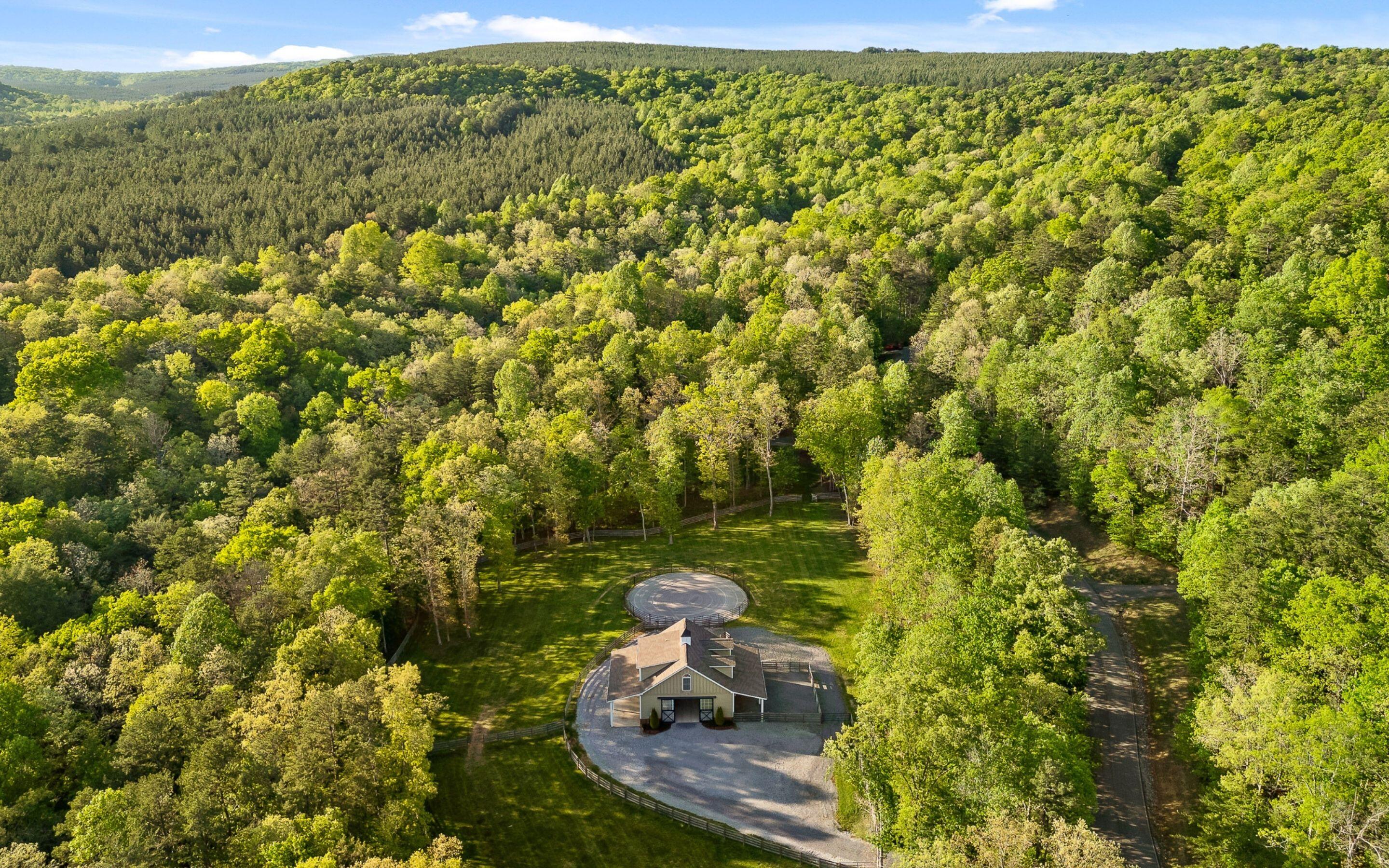 2385 Clear Brooks Drive, Signal Mountain, Tennessee image 5