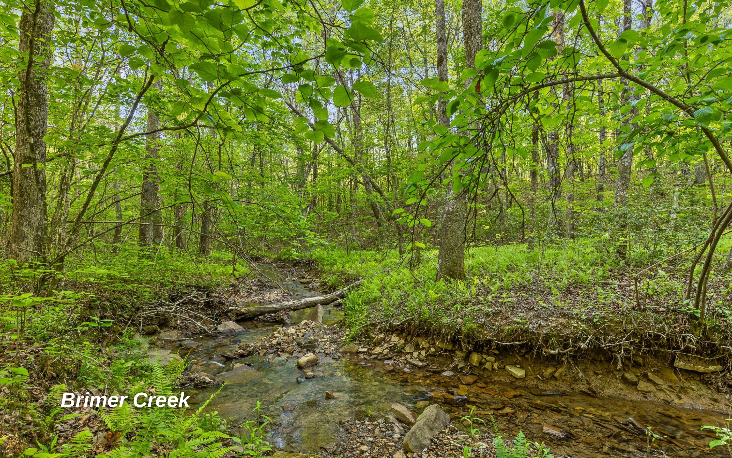 2385 Clear Brooks Drive, Signal Mountain, Tennessee image 42
