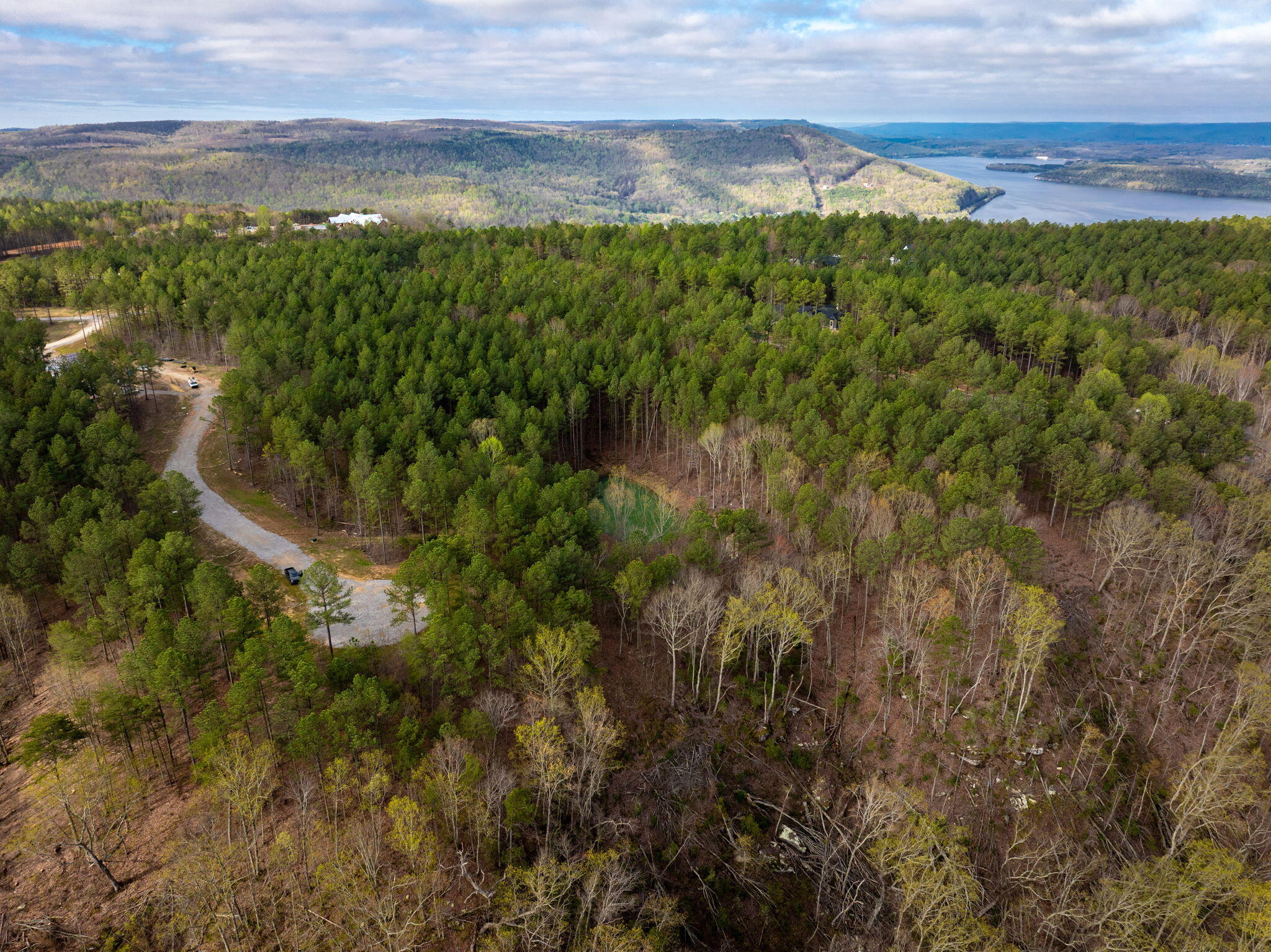 Farm Road #LOT  1047, Guild, Tennessee image 8
