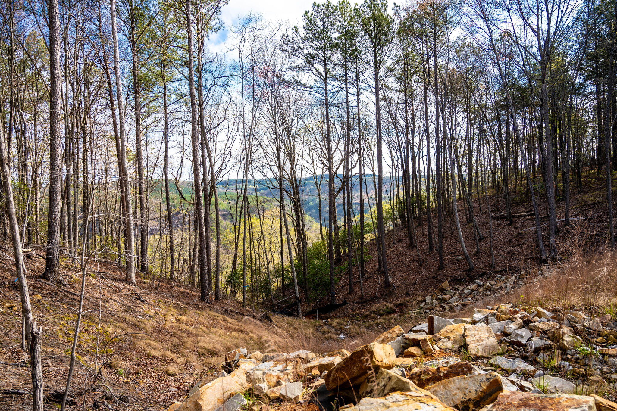 Farm Road #LOT  1047, Guild, Tennessee image 1