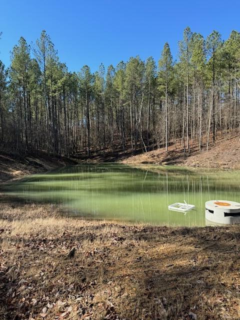 Farm Road #LOT  1047, Guild, Tennessee image 15