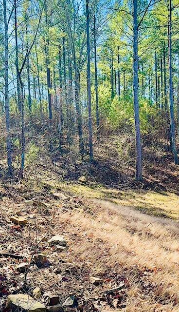 Farm Road #LOT  1047, Guild, Tennessee image 13