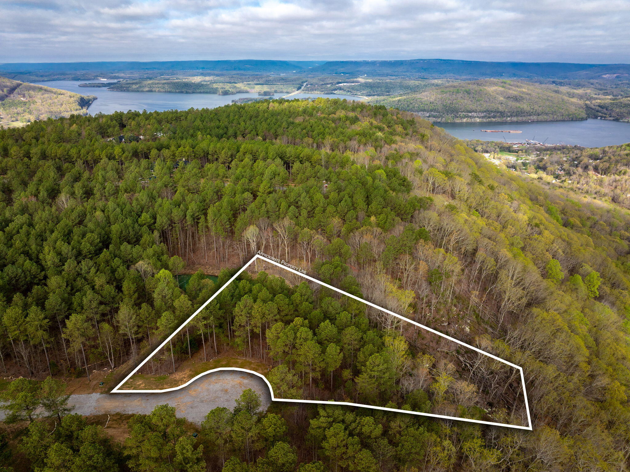Farm Road #LOT  1047, Guild, Tennessee image 5