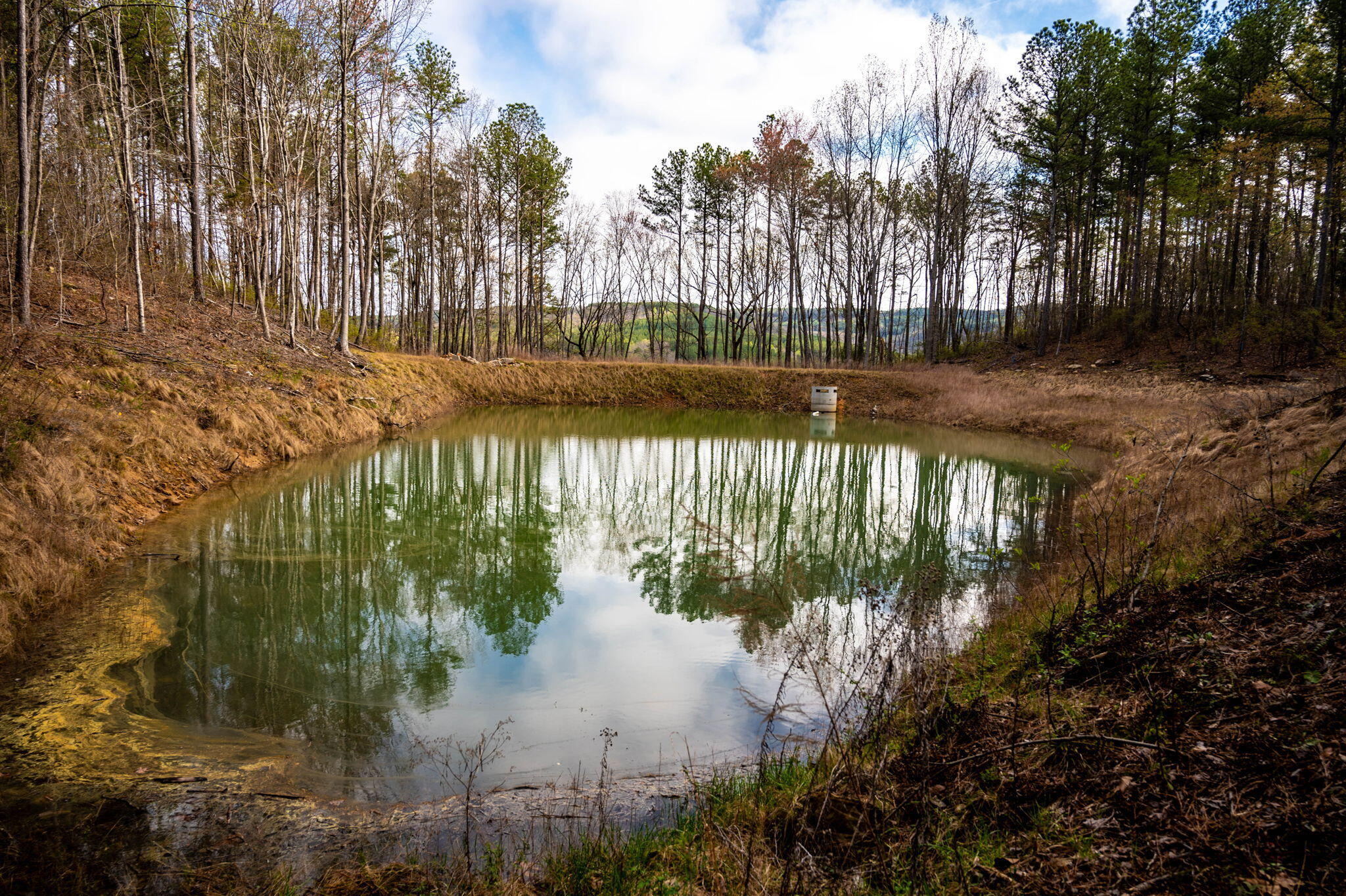 Farm Road #LOT  1047, Guild, Tennessee image 9