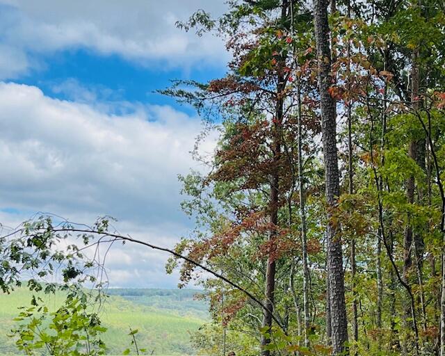 Farm Road #LOT  1047, Guild, Tennessee image 4