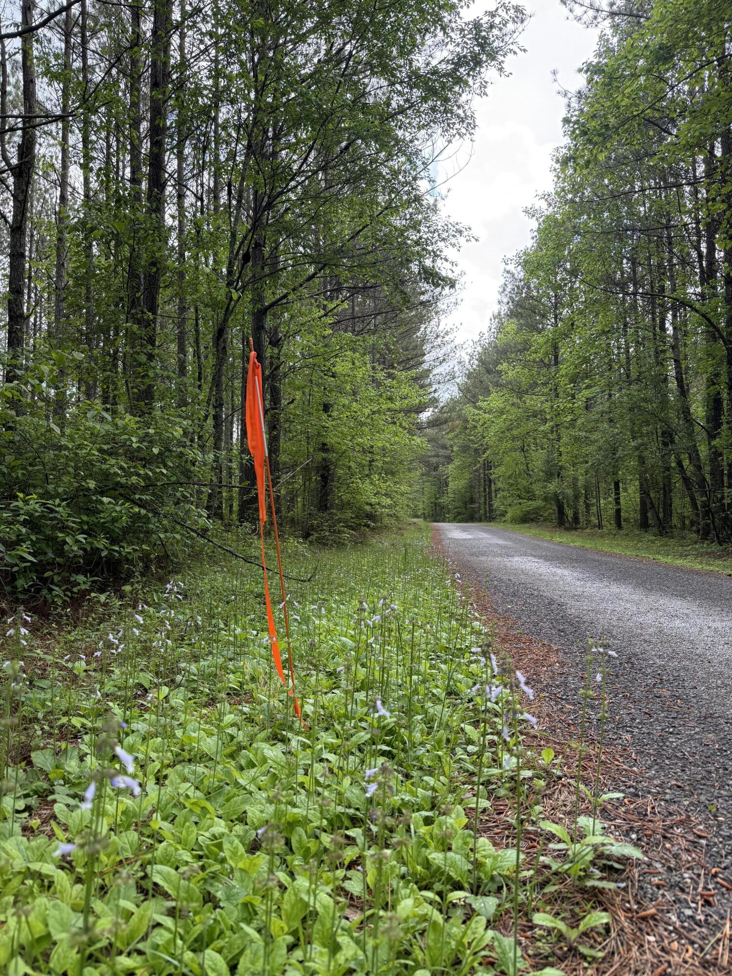 000 Sullivan Road #LOT 2, Dunlap, Tennessee image 2