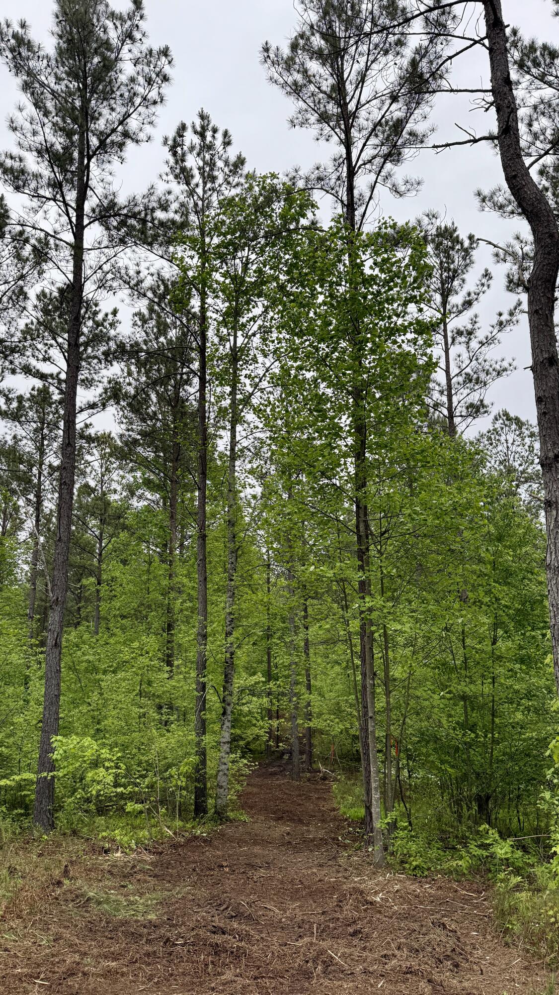 000 Sullivan Road #LOT 2, Dunlap, Tennessee image 4