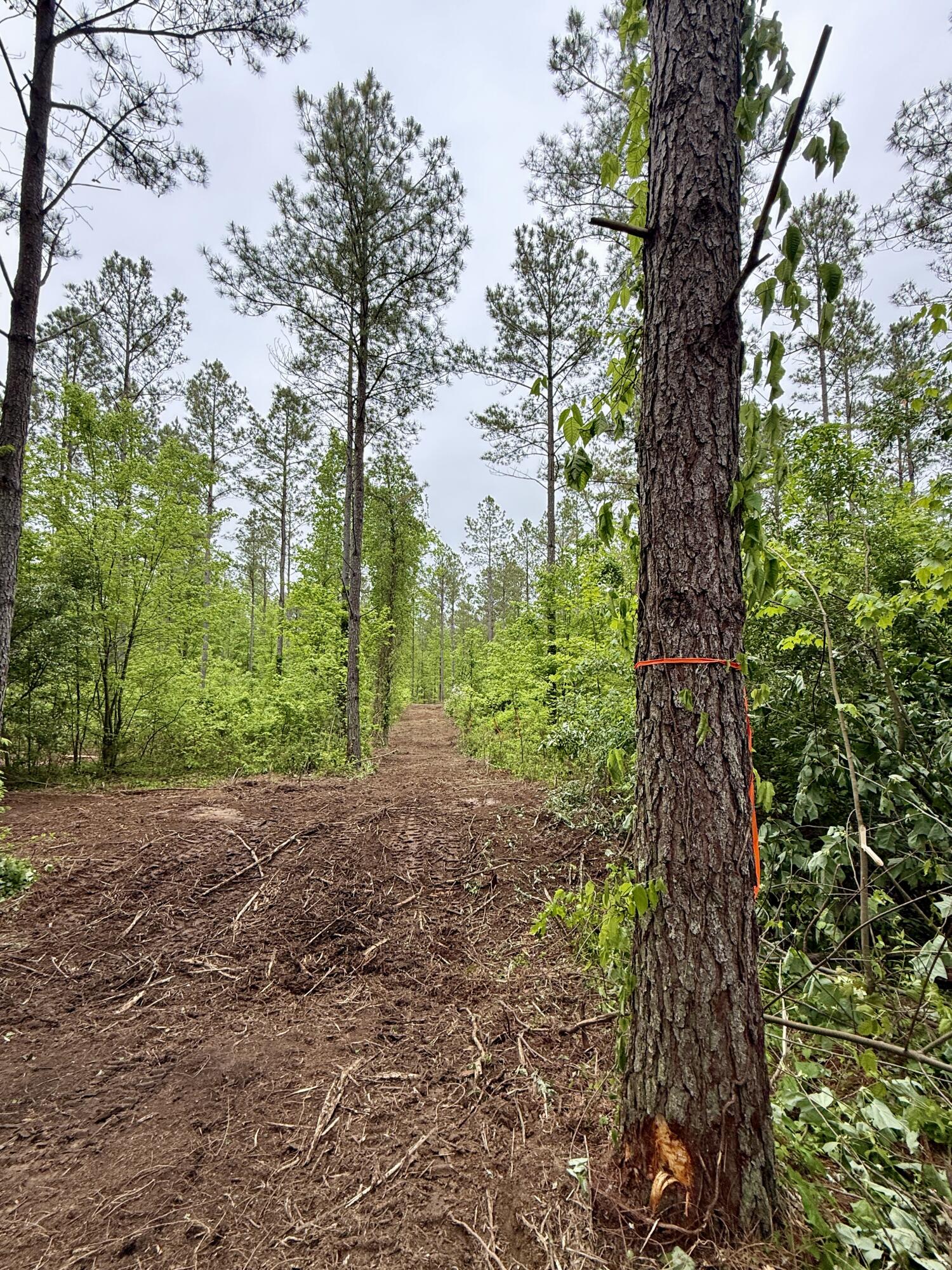 000 Sullivan Road #LOT 2, Dunlap, Tennessee image 6