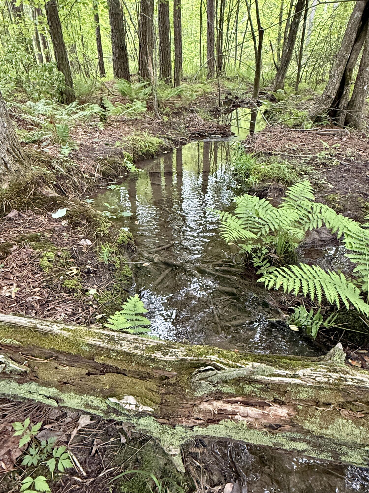 000 Sullivan Road #LOT 2, Dunlap, Tennessee image 1