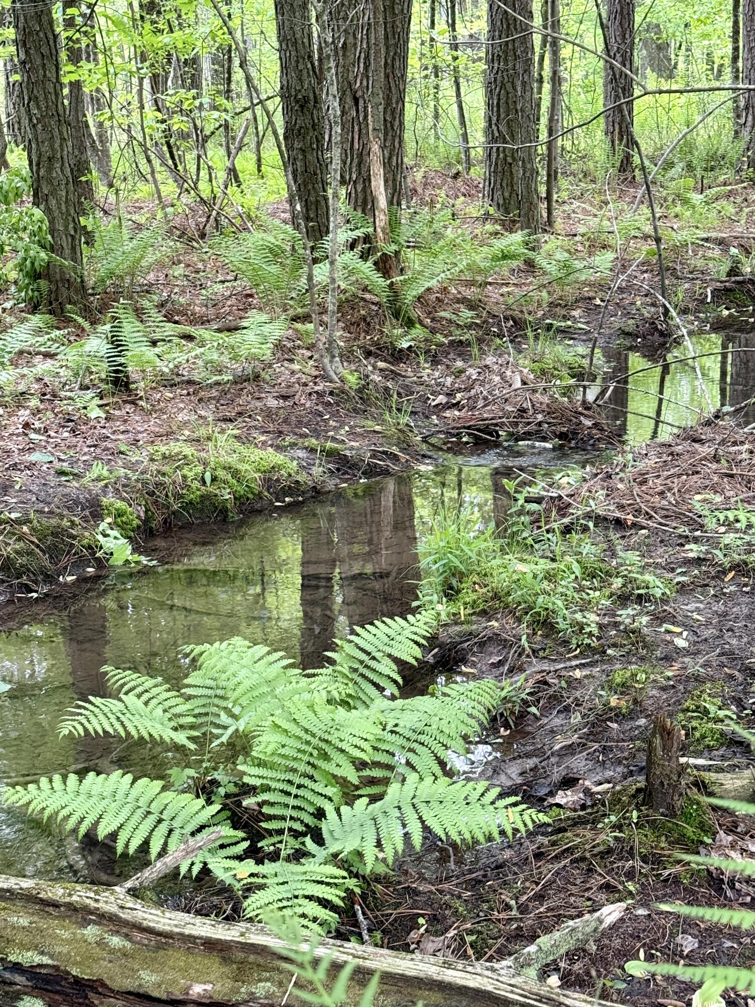 000 Sullivan Road #LOT 2, Dunlap, Tennessee image 12
