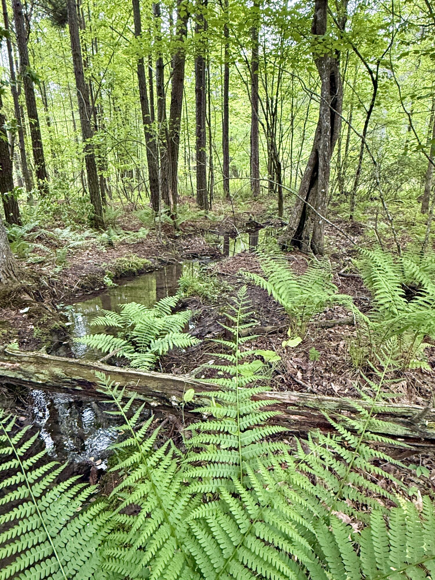 000 Sullivan Road #LOT 2, Dunlap, Tennessee image 14