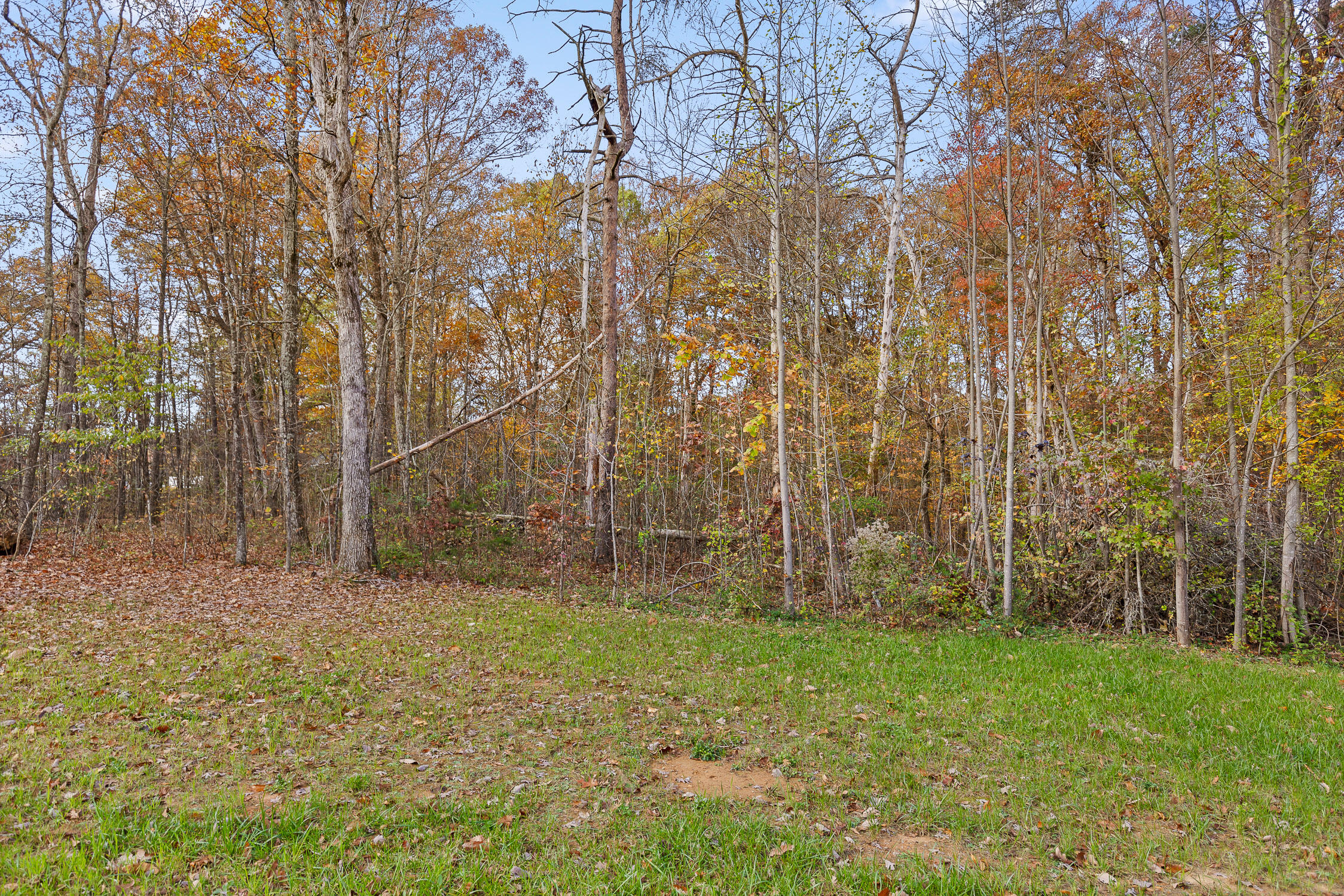612 Miles Road, Signal Mountain, Tennessee image 2