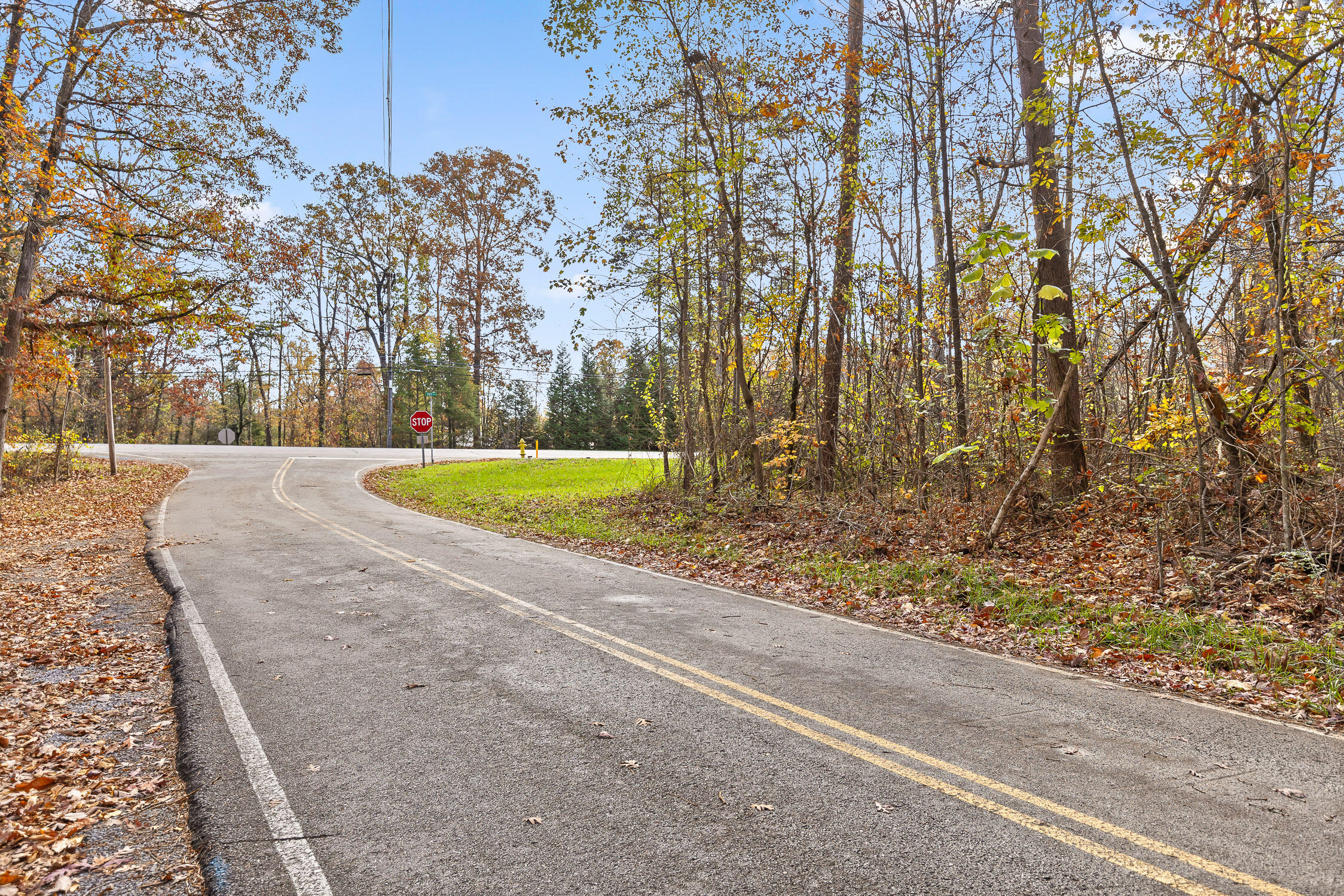 612 Miles Road, Signal Mountain, Tennessee image 5