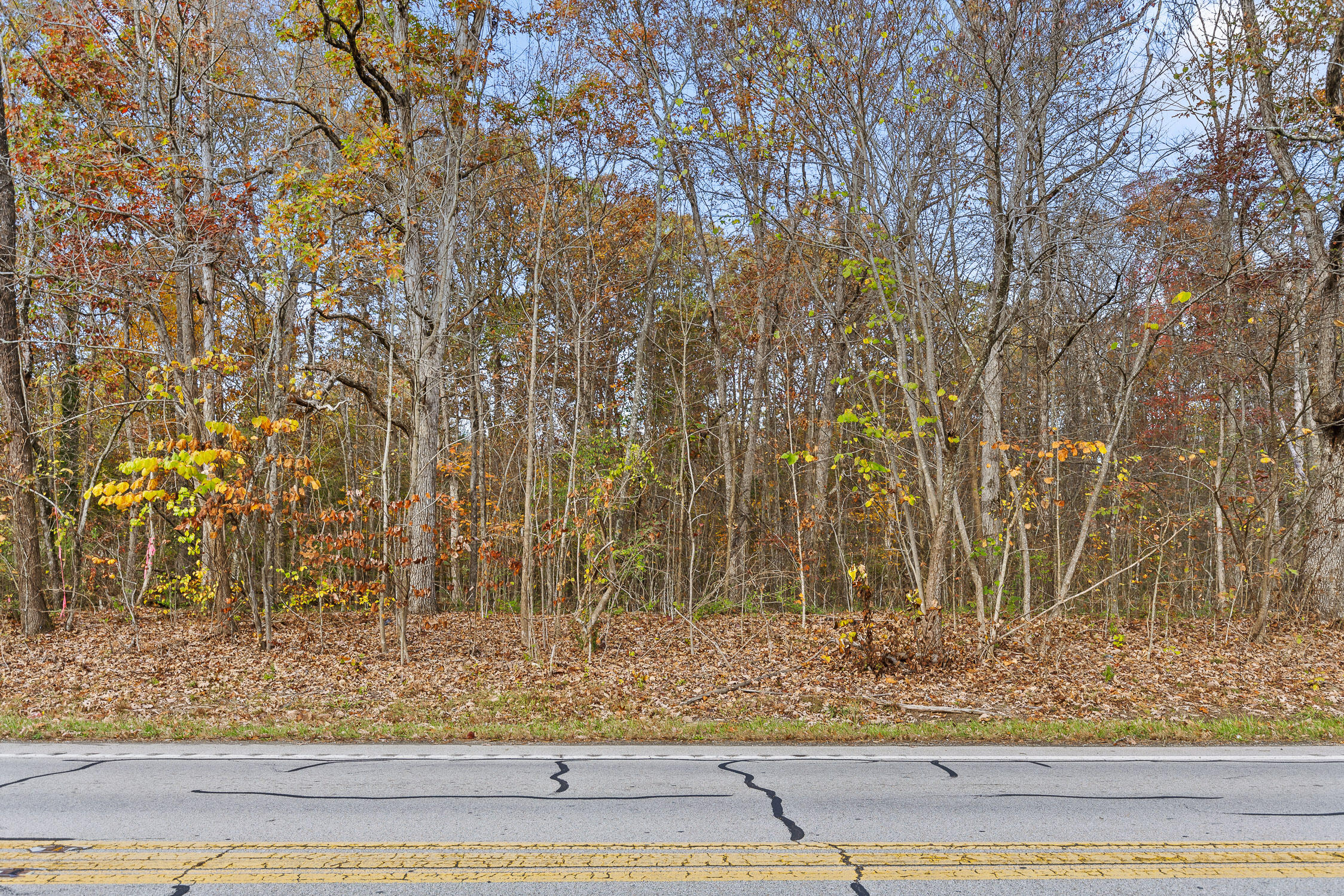 612 Miles Road, Signal Mountain, Tennessee image 8